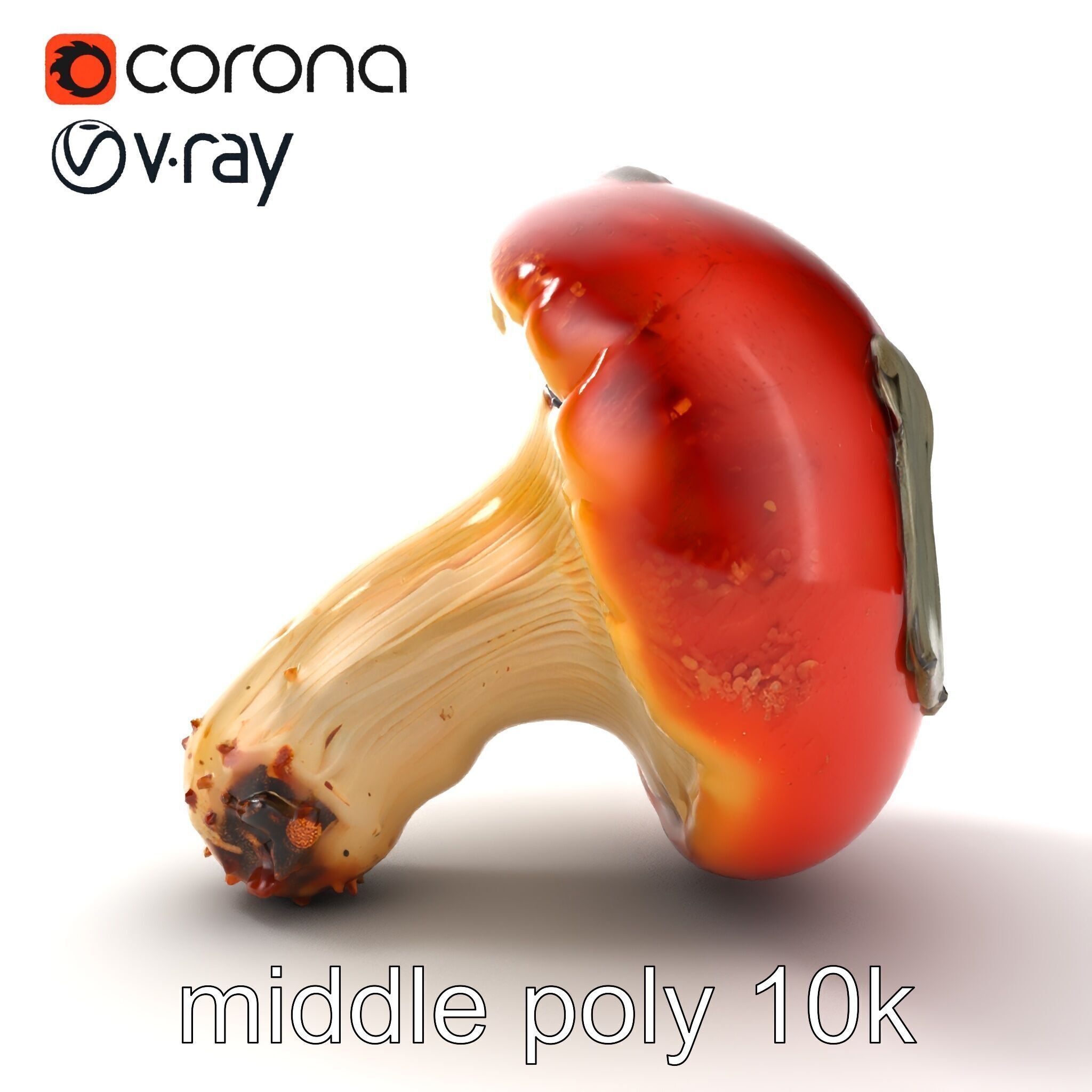 Damaged Red-Cap Mushroom Realistic Texture model pack Low-poly 3D model_14