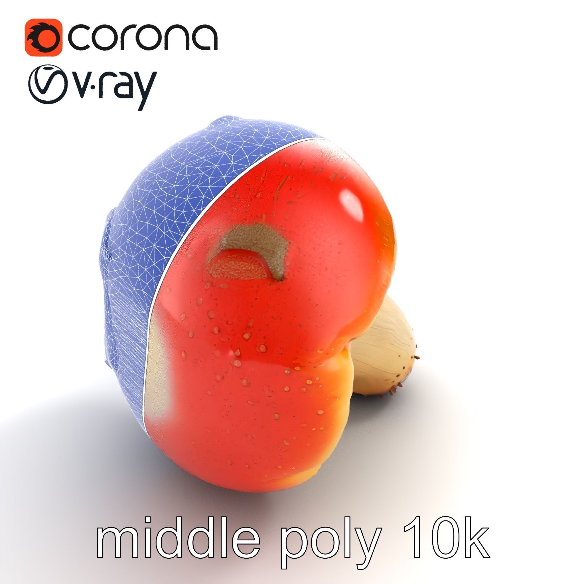 Damaged Red-Cap Mushroom Realistic Texture model pack Low-poly 3D model_11