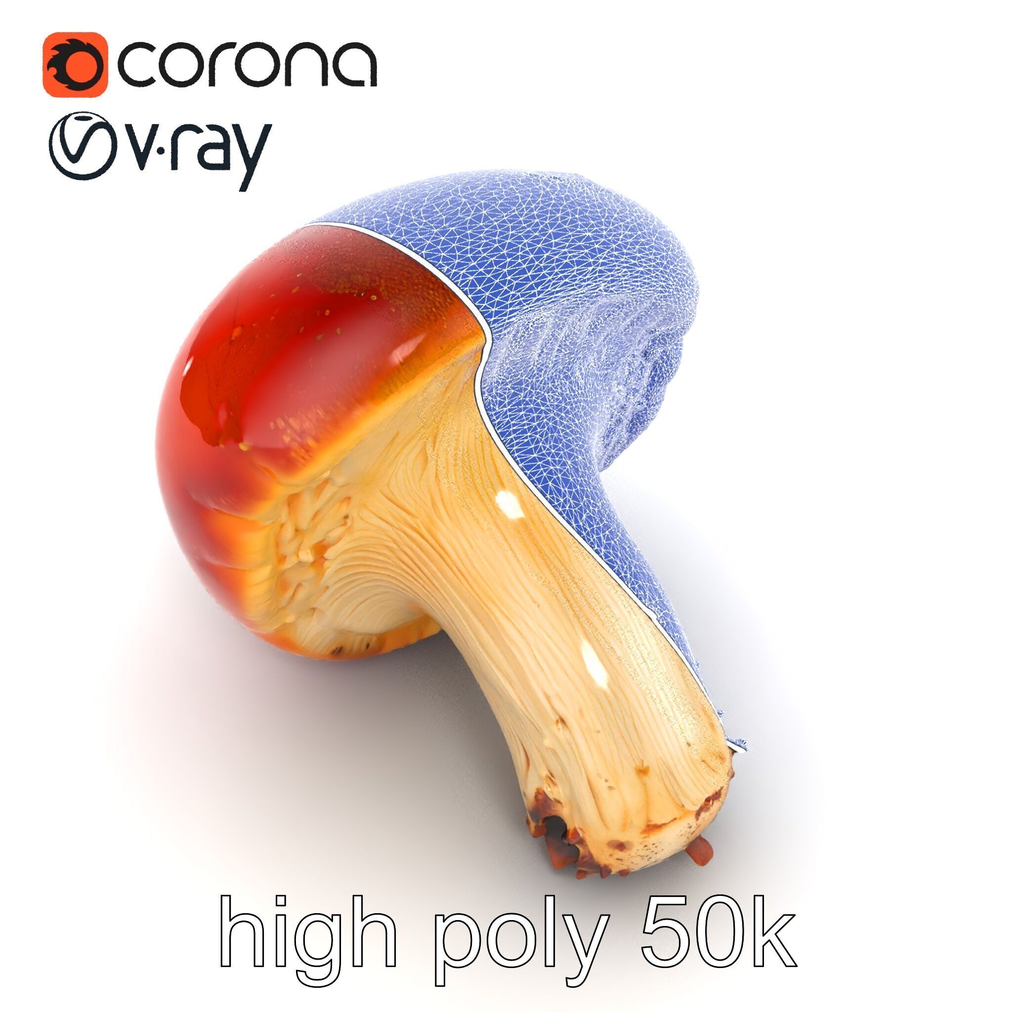 Damaged Red-Cap Mushroom Realistic Texture model pack Low-poly 3D model_25