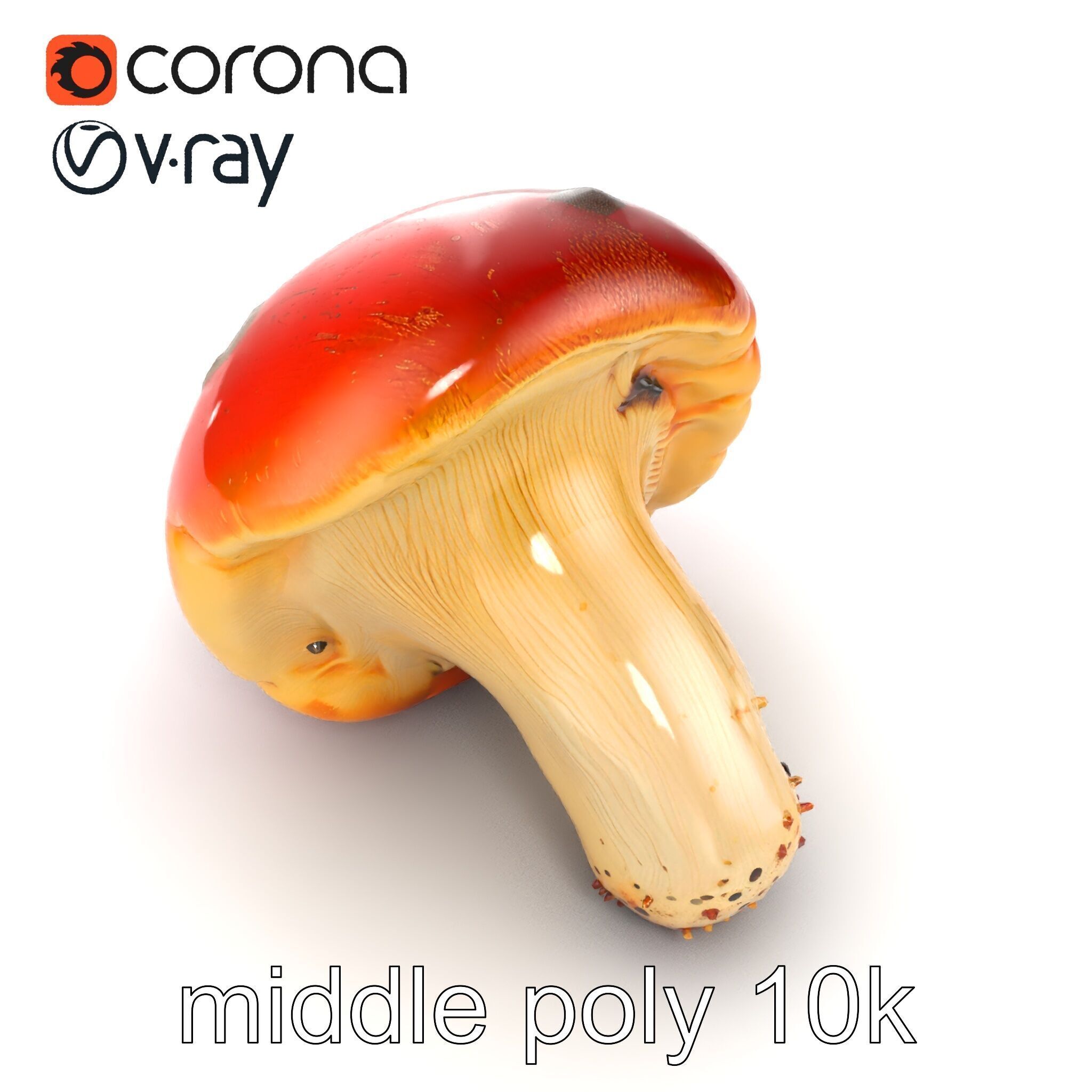 Damaged Red-Cap Mushroom Realistic Texture model pack Low-poly 3D model_12