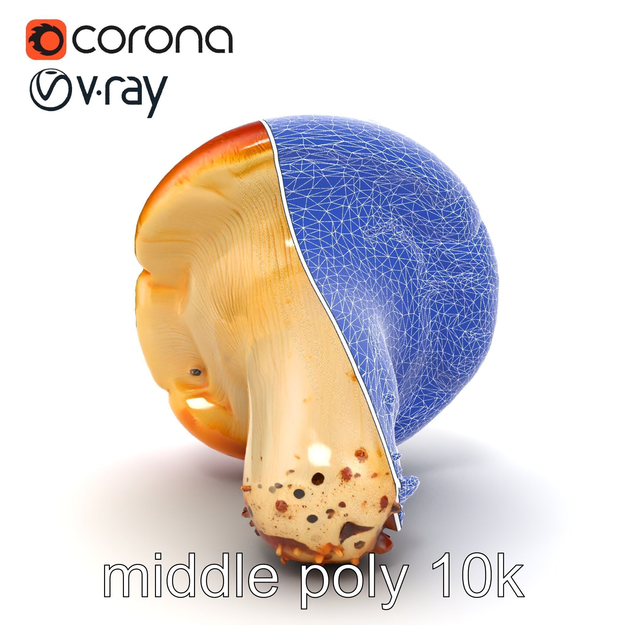 Damaged Red-Cap Mushroom Realistic Texture model pack Low-poly 3D model_23