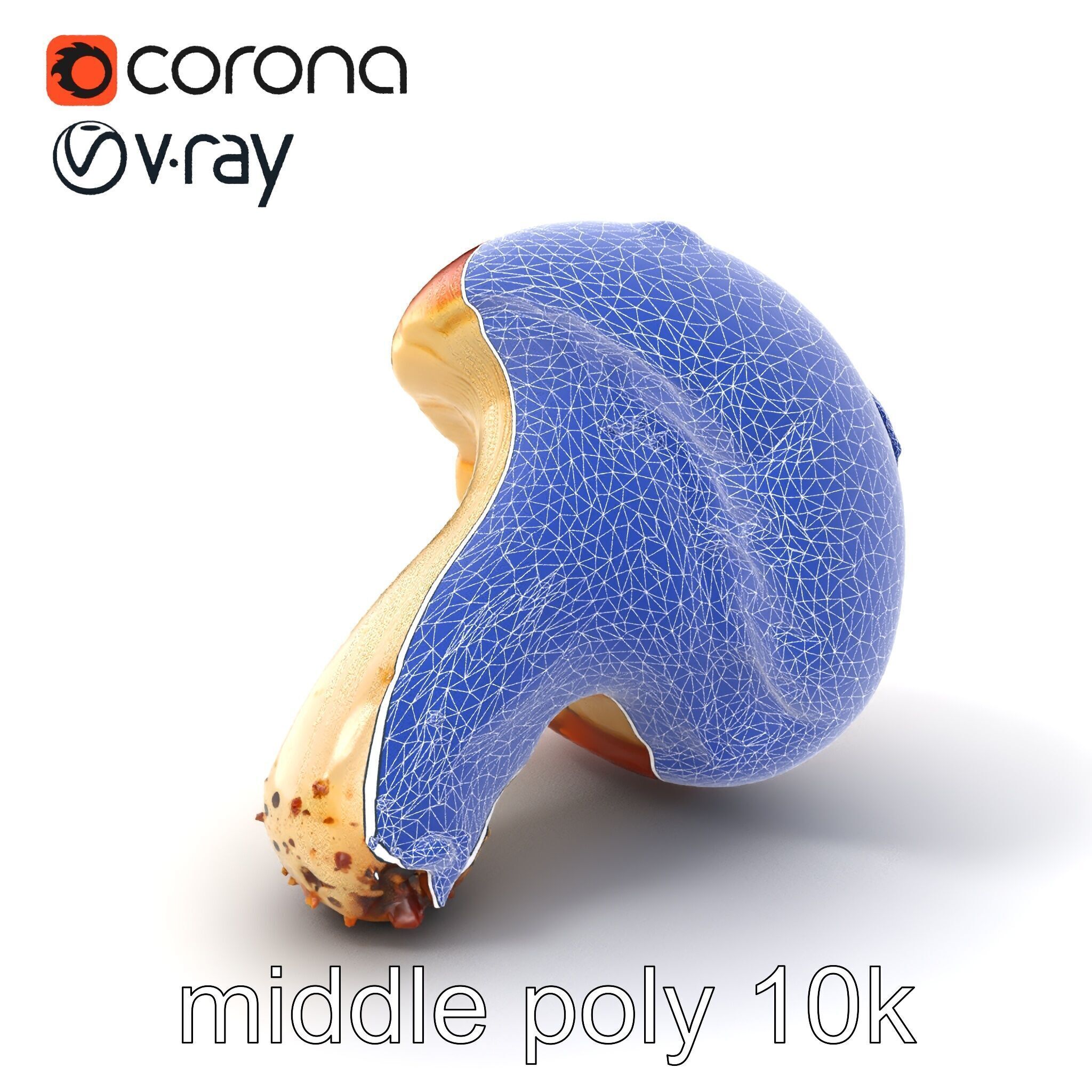 Damaged Red-Cap Mushroom Realistic Texture model pack Low-poly 3D model_6