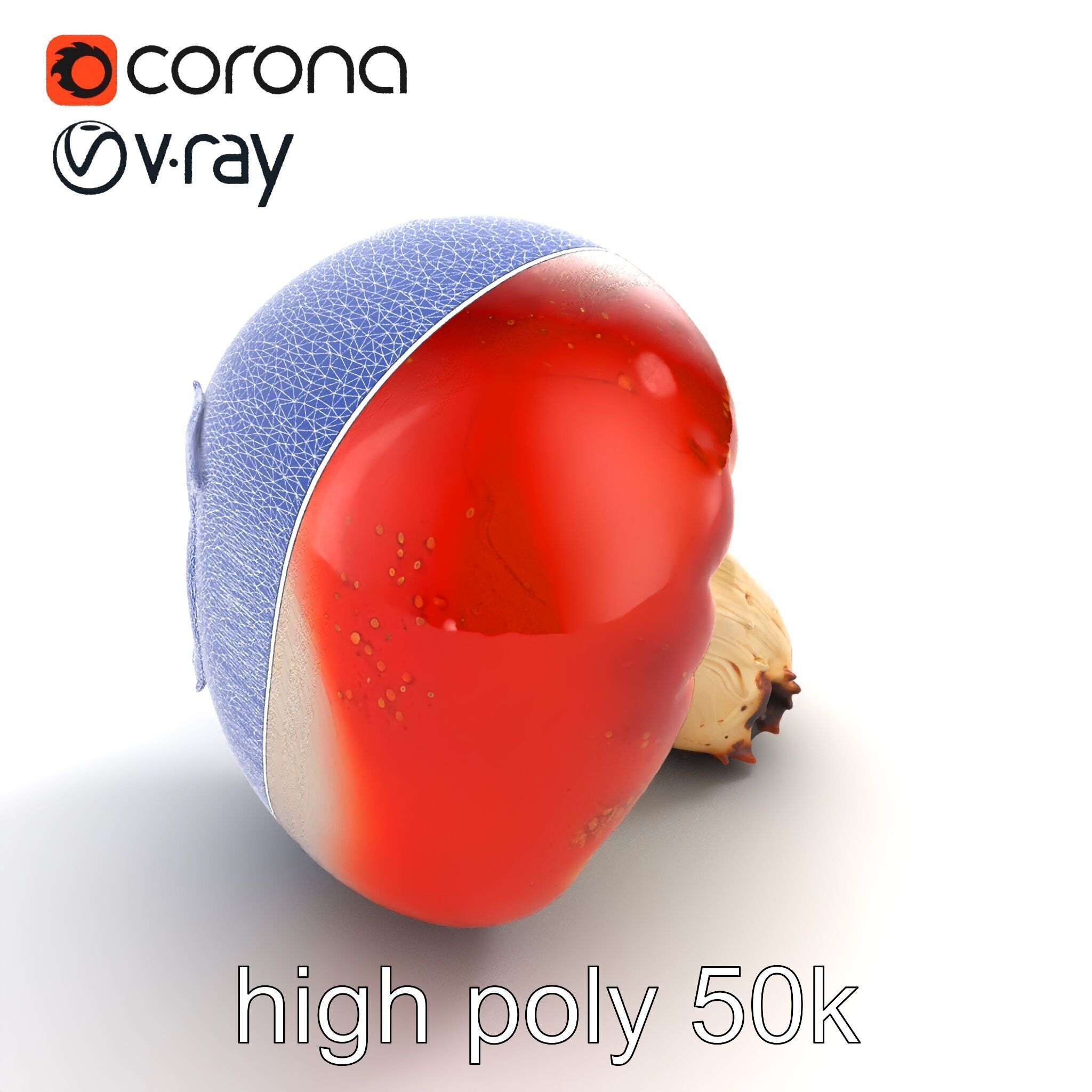 Damaged Red-Cap Mushroom Realistic Texture model pack Low-poly 3D model_22