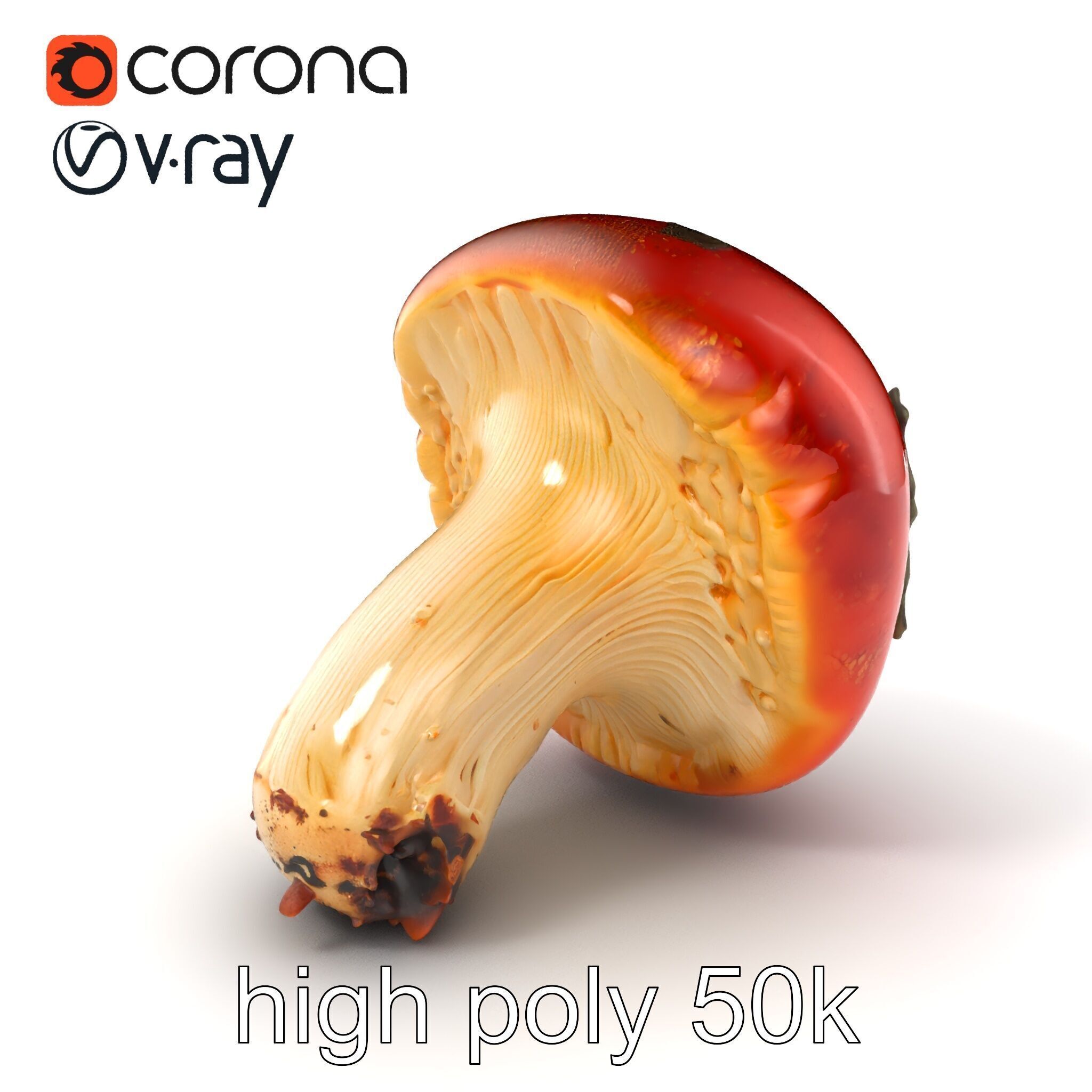 Damaged Red-Cap Mushroom Realistic Texture model pack Low-poly 3D model_2