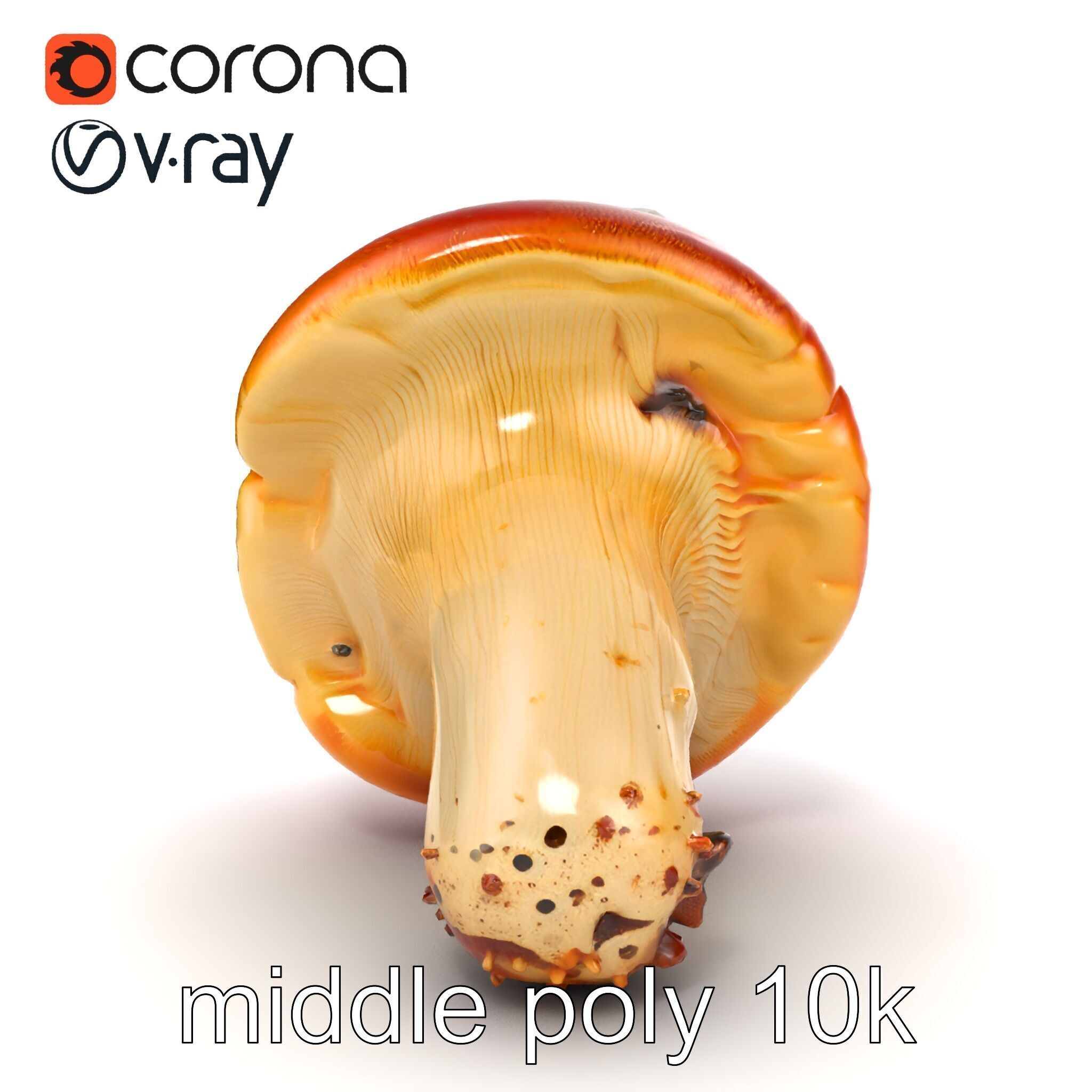 Damaged Red-Cap Mushroom Realistic Texture model pack Low-poly 3D model_26