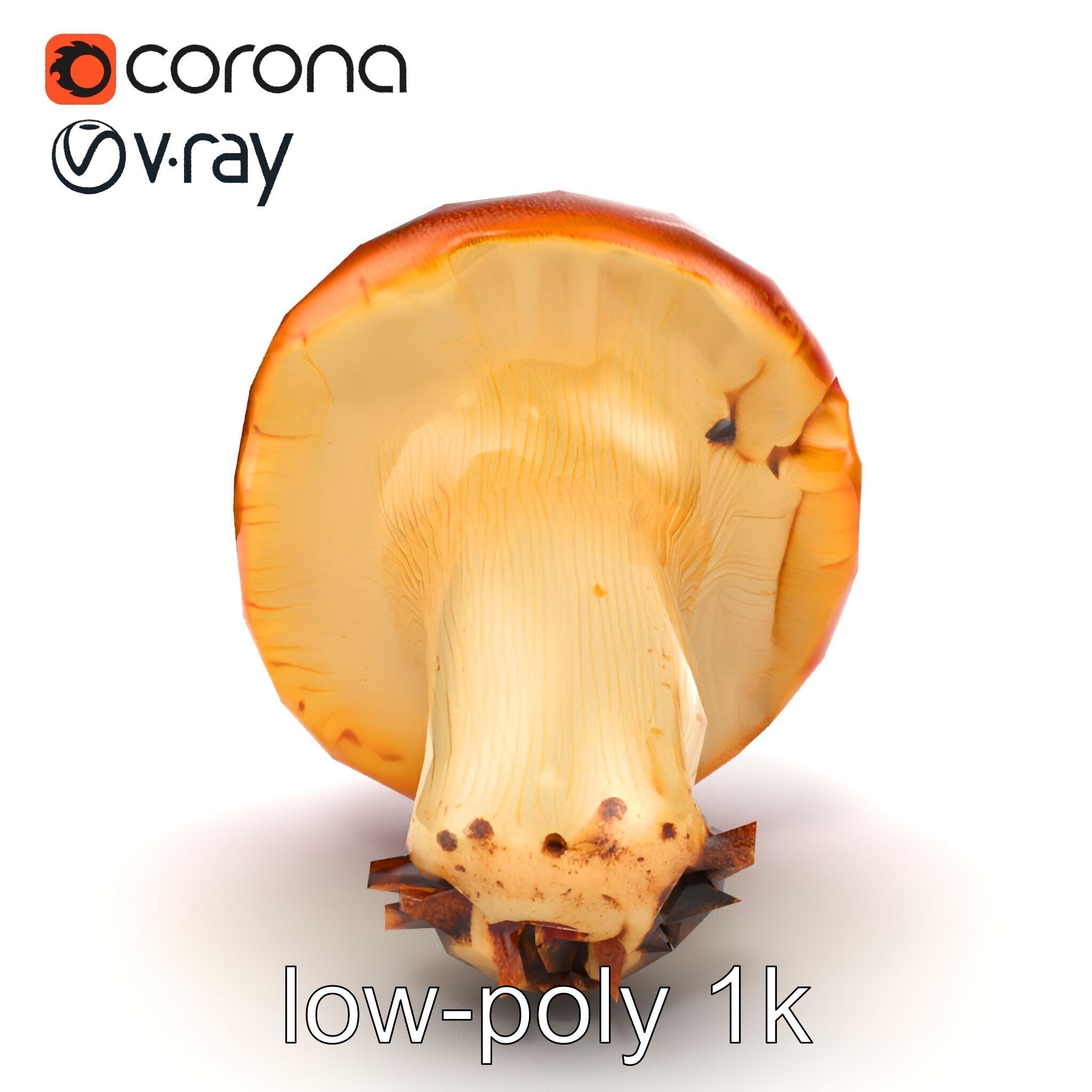 Damaged Red-Cap Mushroom Realistic Texture model pack Low-poly 3D model_16