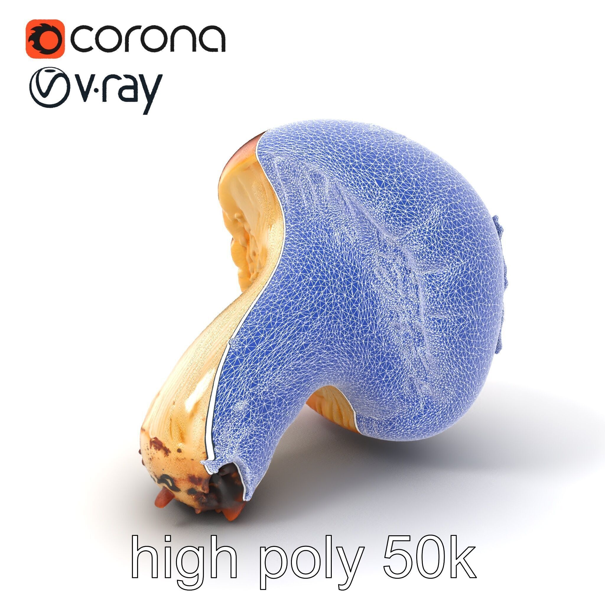 Damaged Red-Cap Mushroom Realistic Texture model pack Low-poly 3D model_10