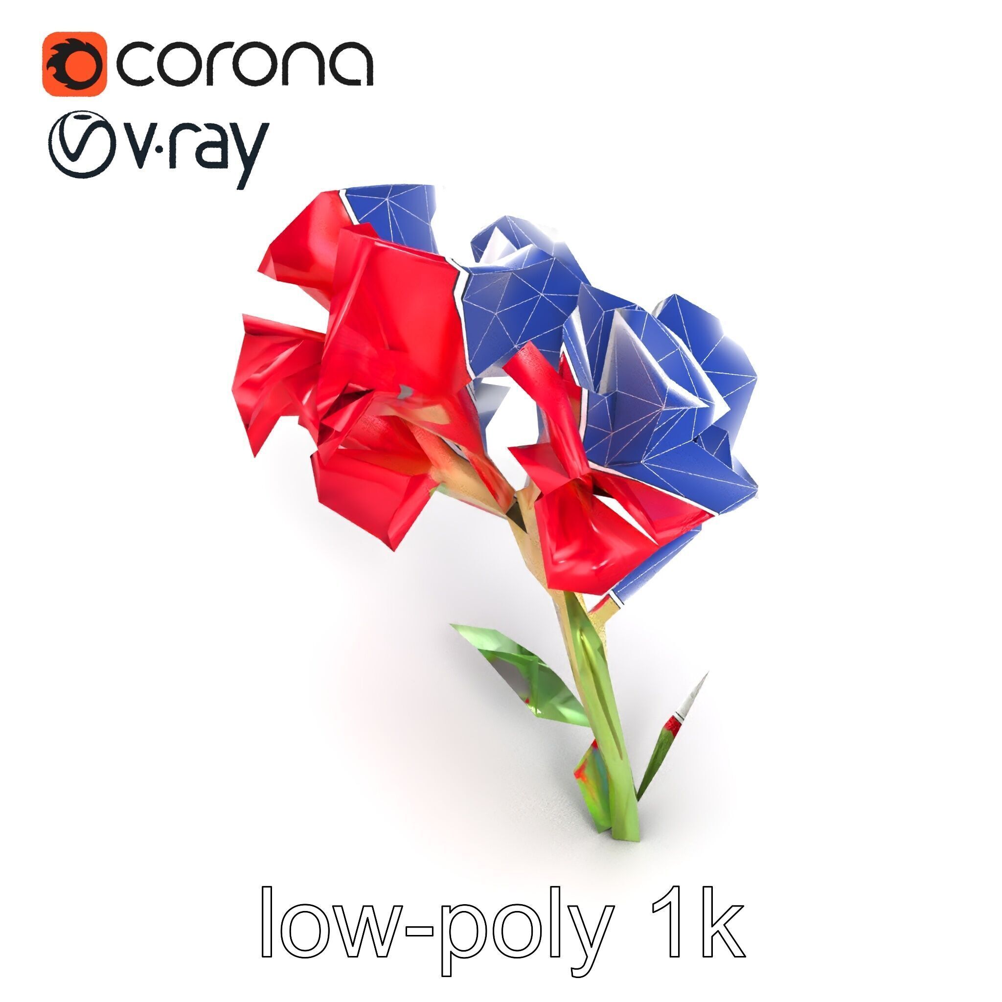 Lush Gladiolus Flowering Plant model pack Low-poly 3D model_15