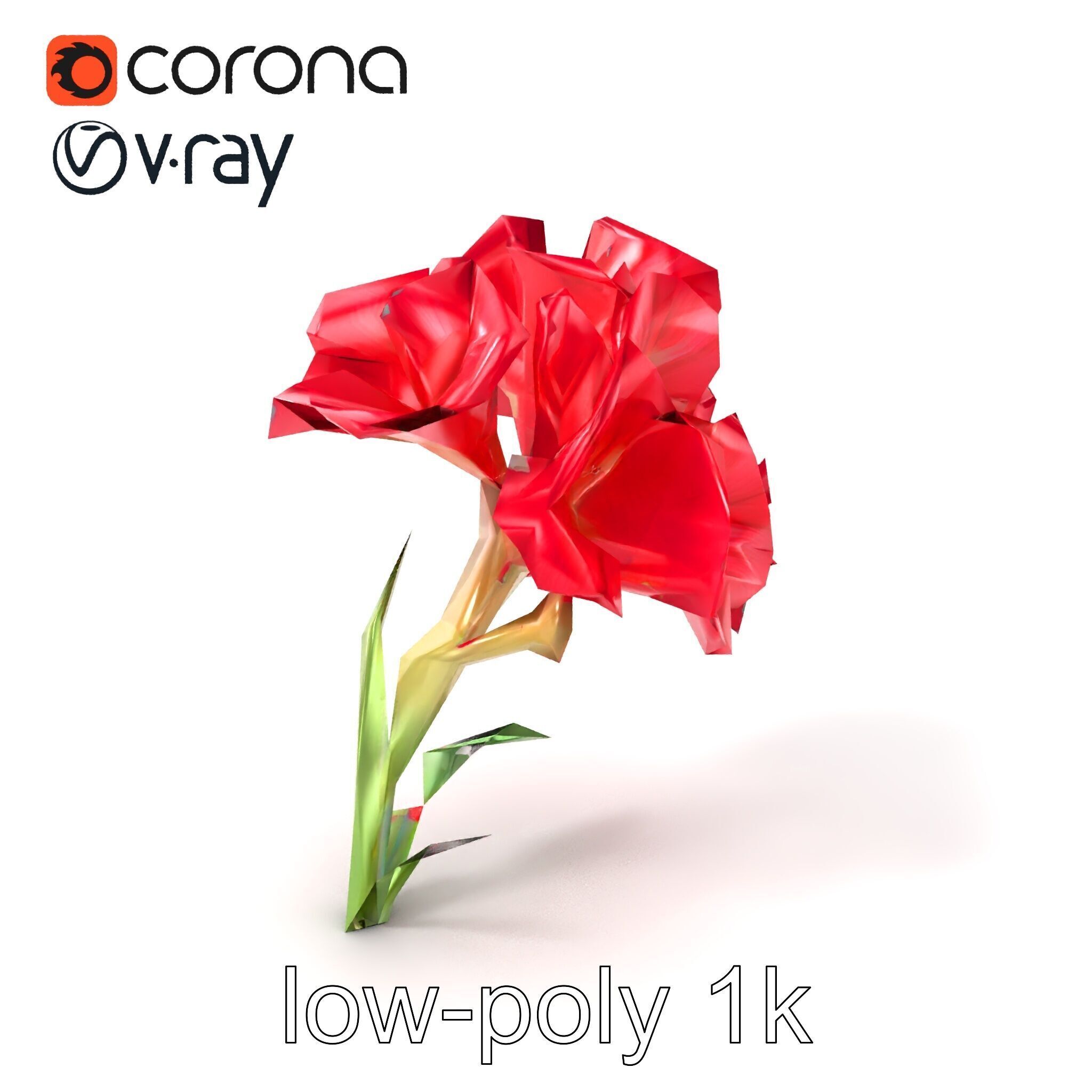 Lush Gladiolus Flowering Plant model pack Low-poly 3D model_4