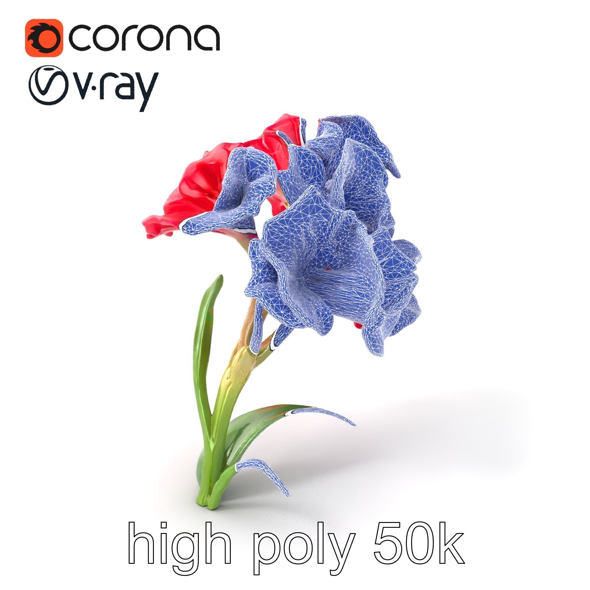 Lush Gladiolus Flowering Plant model pack Low-poly 3D model_1