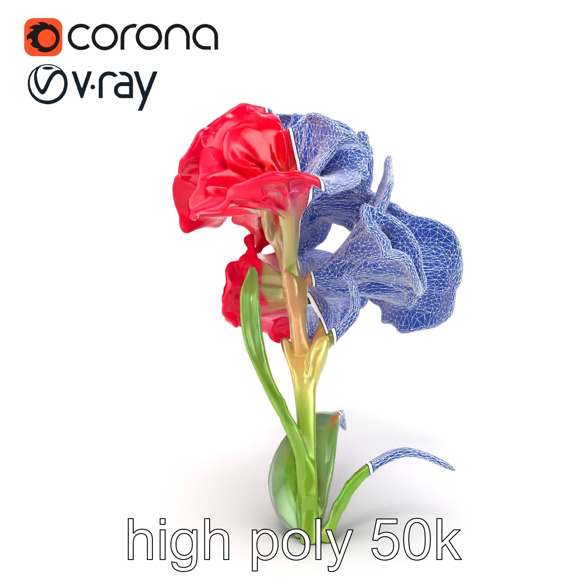 Lush Gladiolus Flowering Plant model pack Low-poly 3D model_23