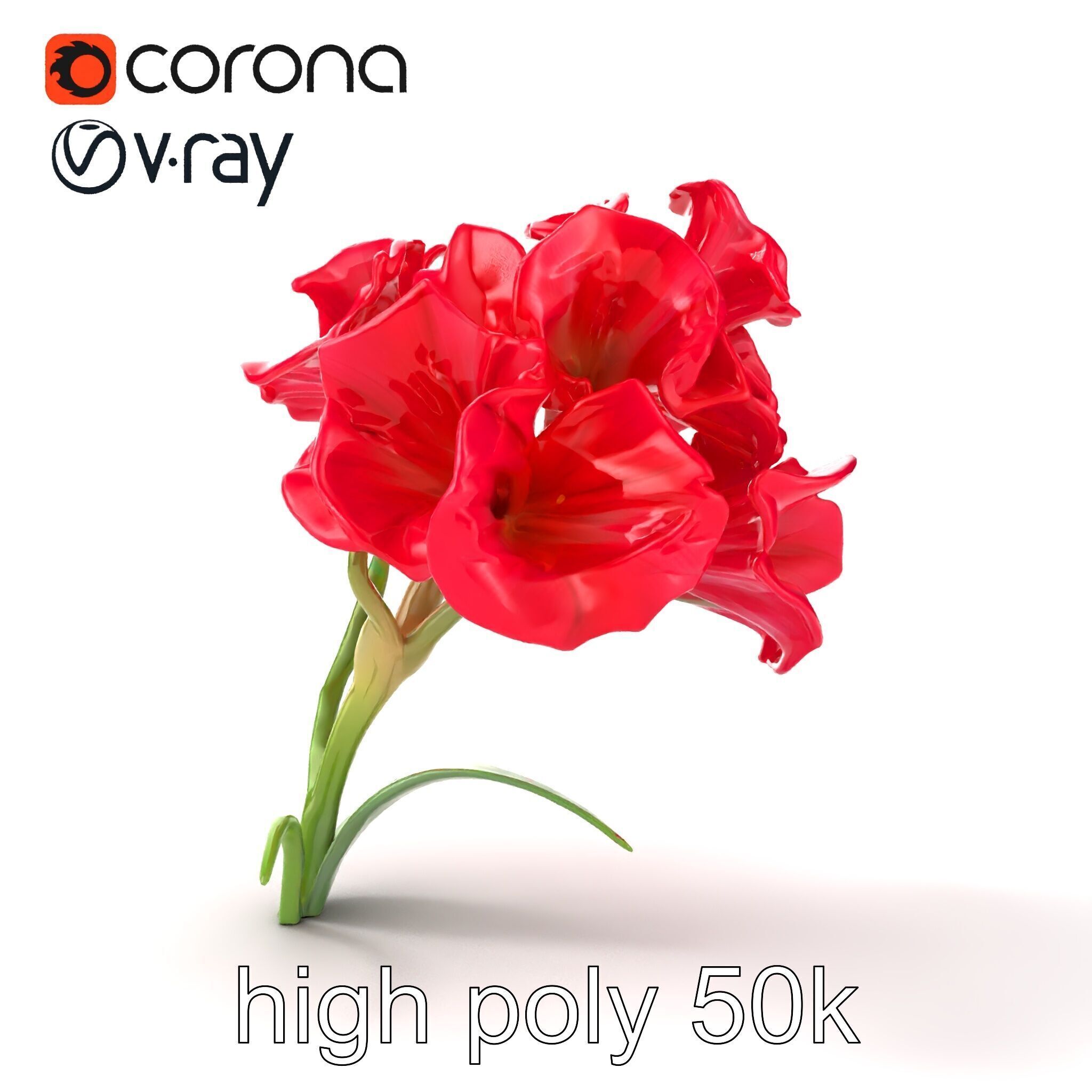 Lush Gladiolus Flowering Plant model pack Low-poly 3D model_20