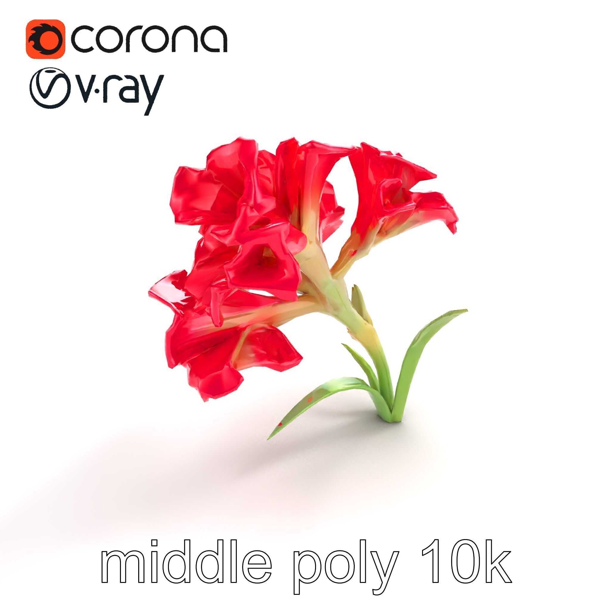 Lush Gladiolus Flowering Plant model pack Low-poly 3D model_7