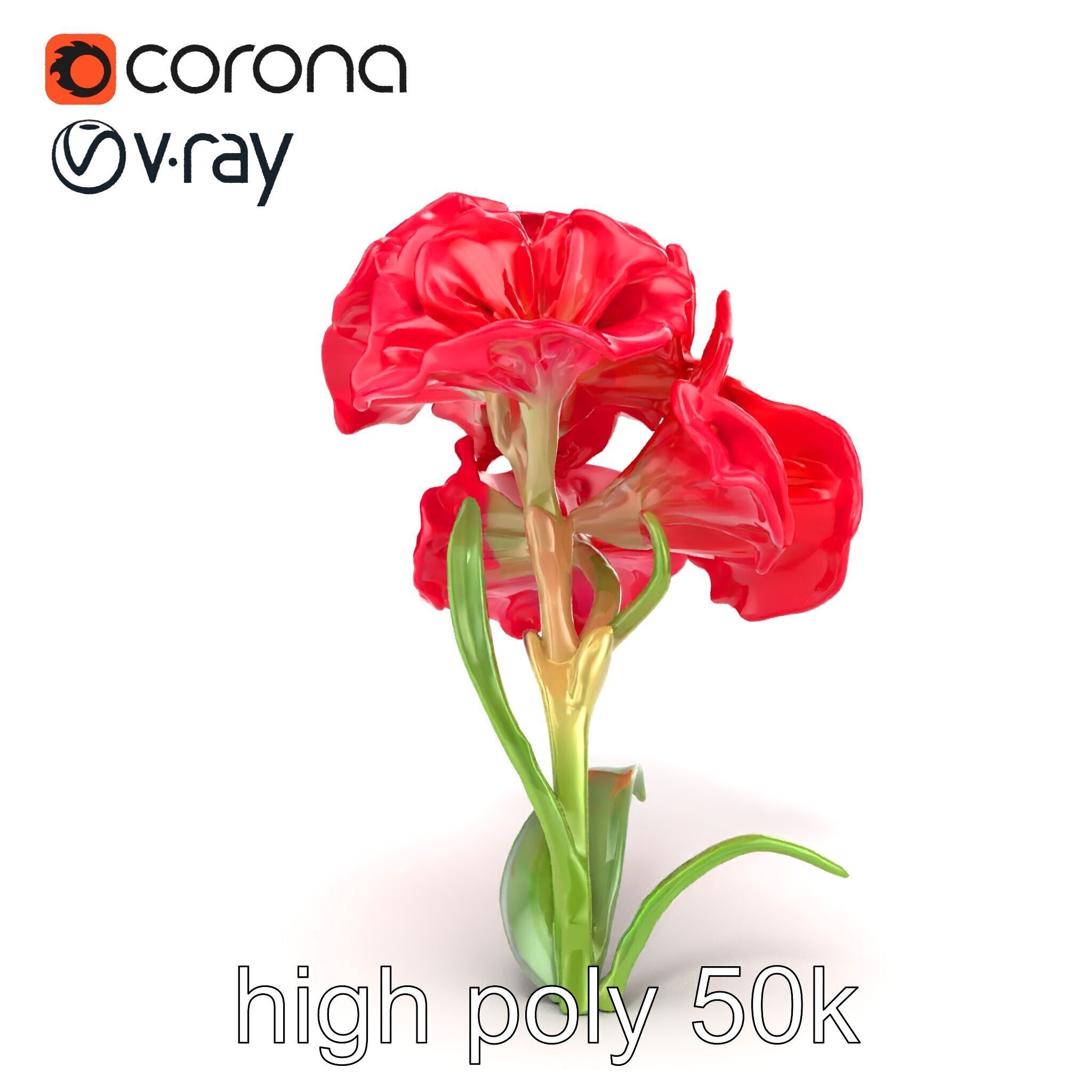 Lush Gladiolus Flowering Plant model pack Low-poly 3D model_18