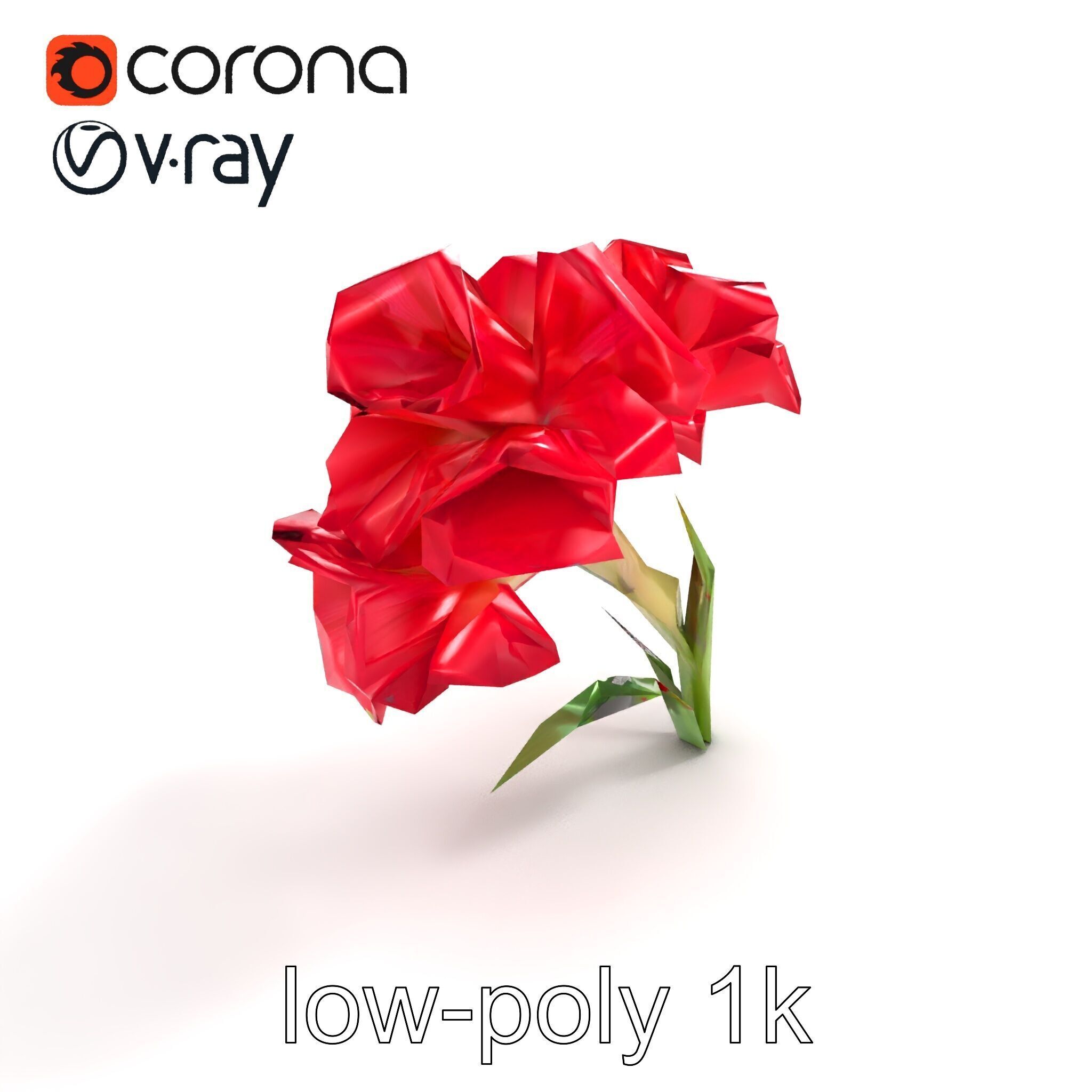 Lush Gladiolus Flowering Plant model pack Low-poly 3D model_8