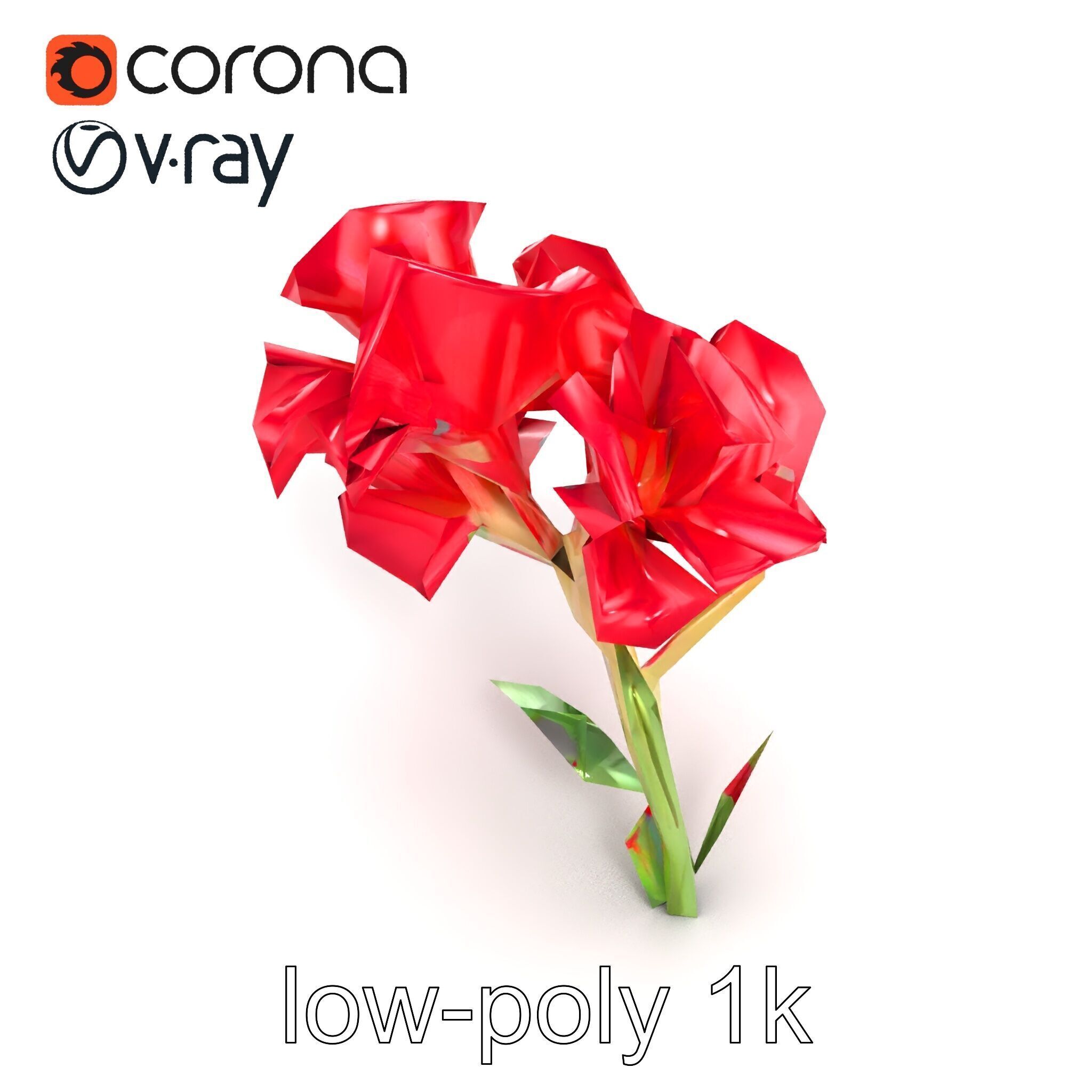 Lush Gladiolus Flowering Plant model pack Low-poly 3D model_30