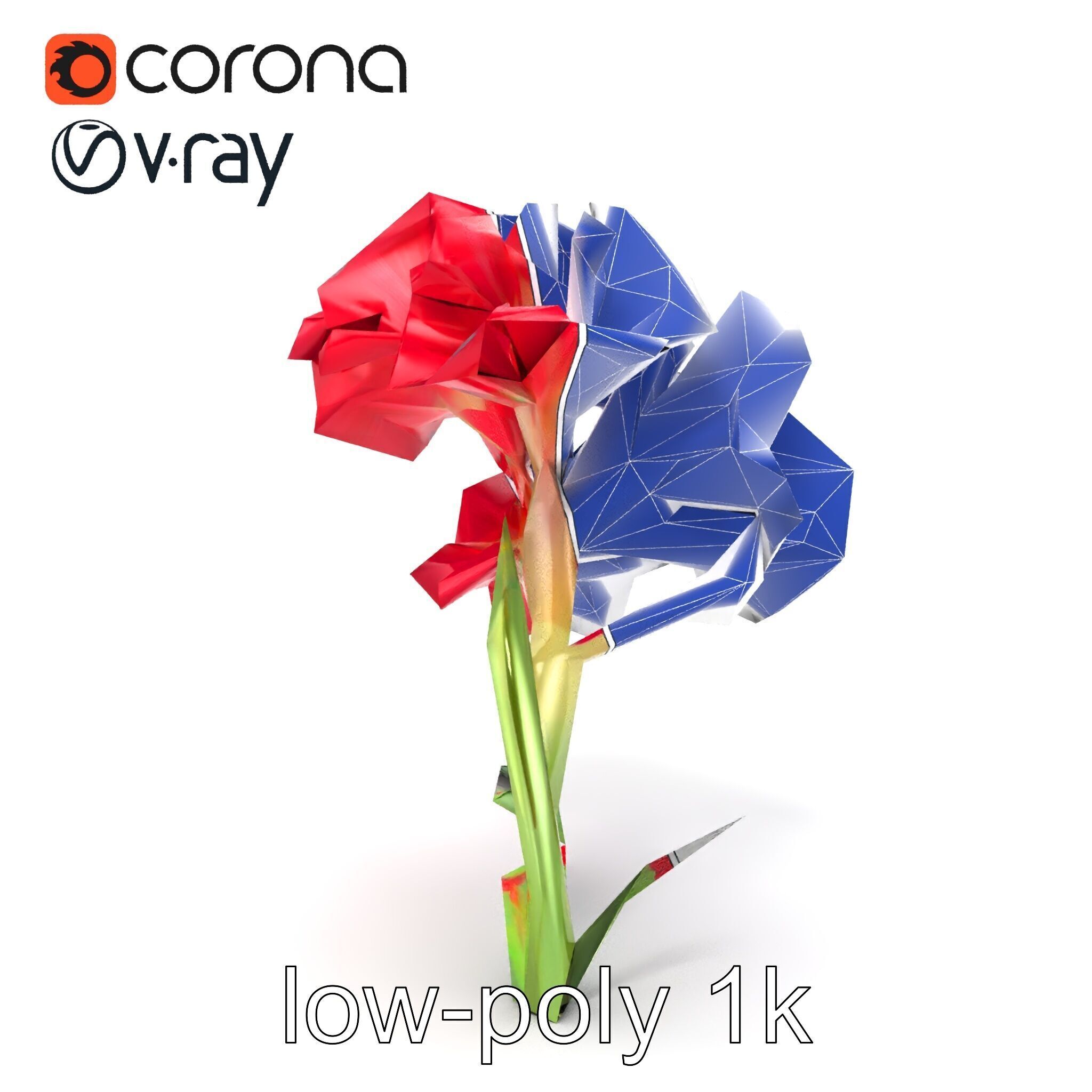 Lush Gladiolus Flowering Plant model pack Low-poly 3D model_22