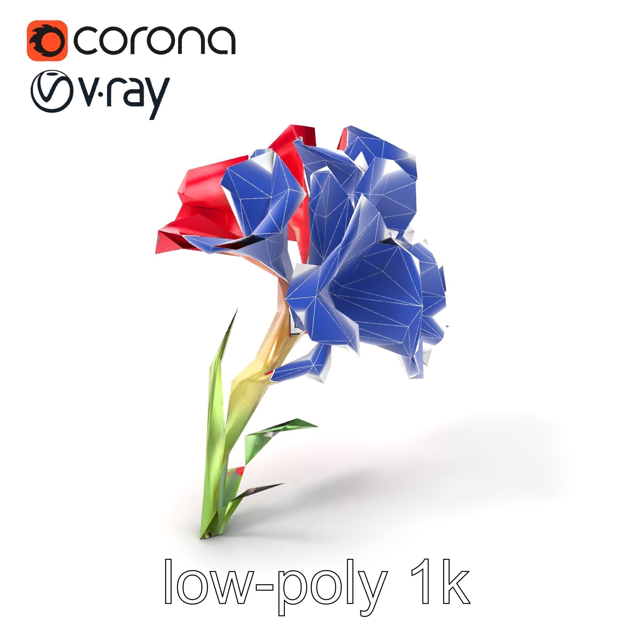 Lush Gladiolus Flowering Plant model pack Low-poly 3D model_6