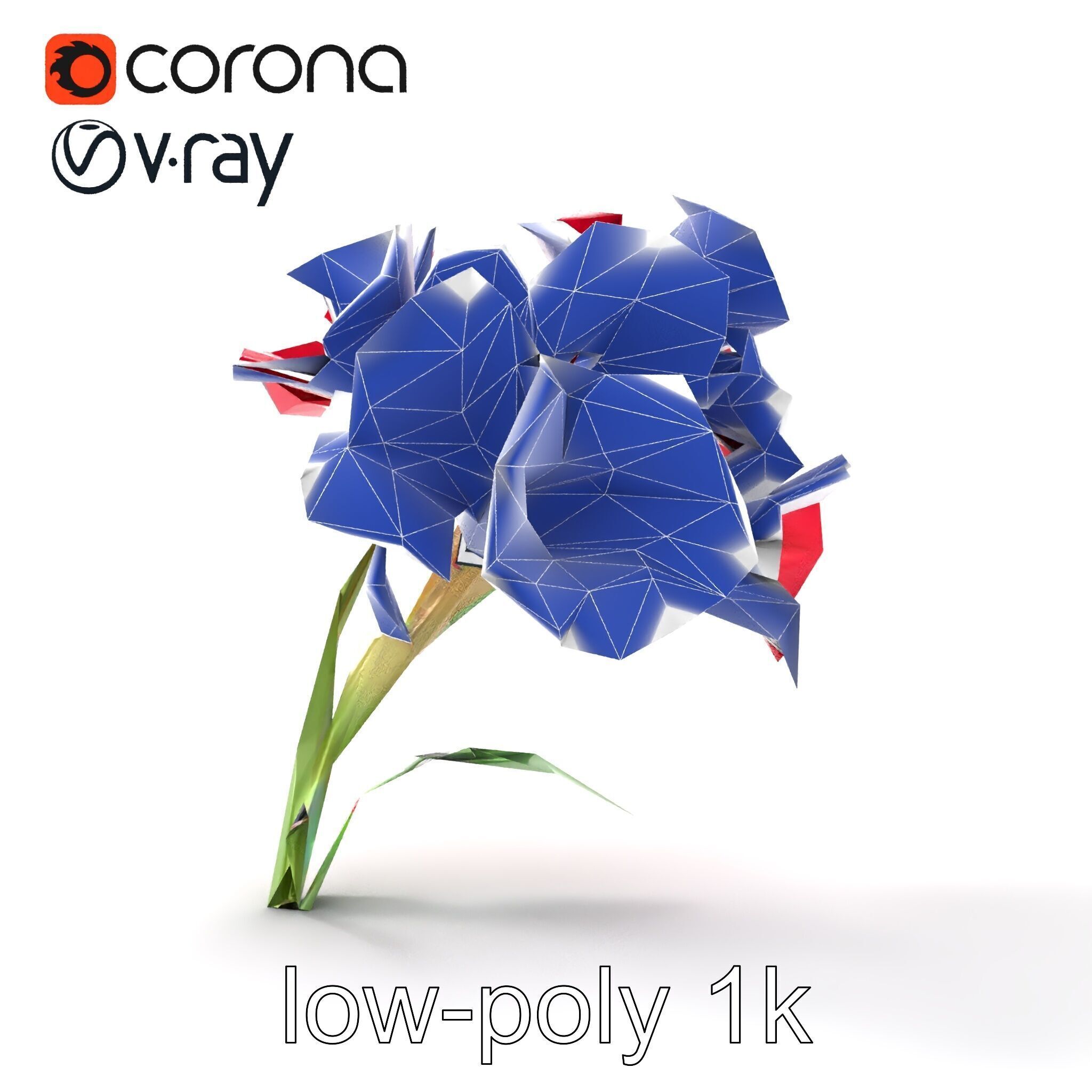 Lush Gladiolus Flowering Plant model pack Low-poly 3D model_27