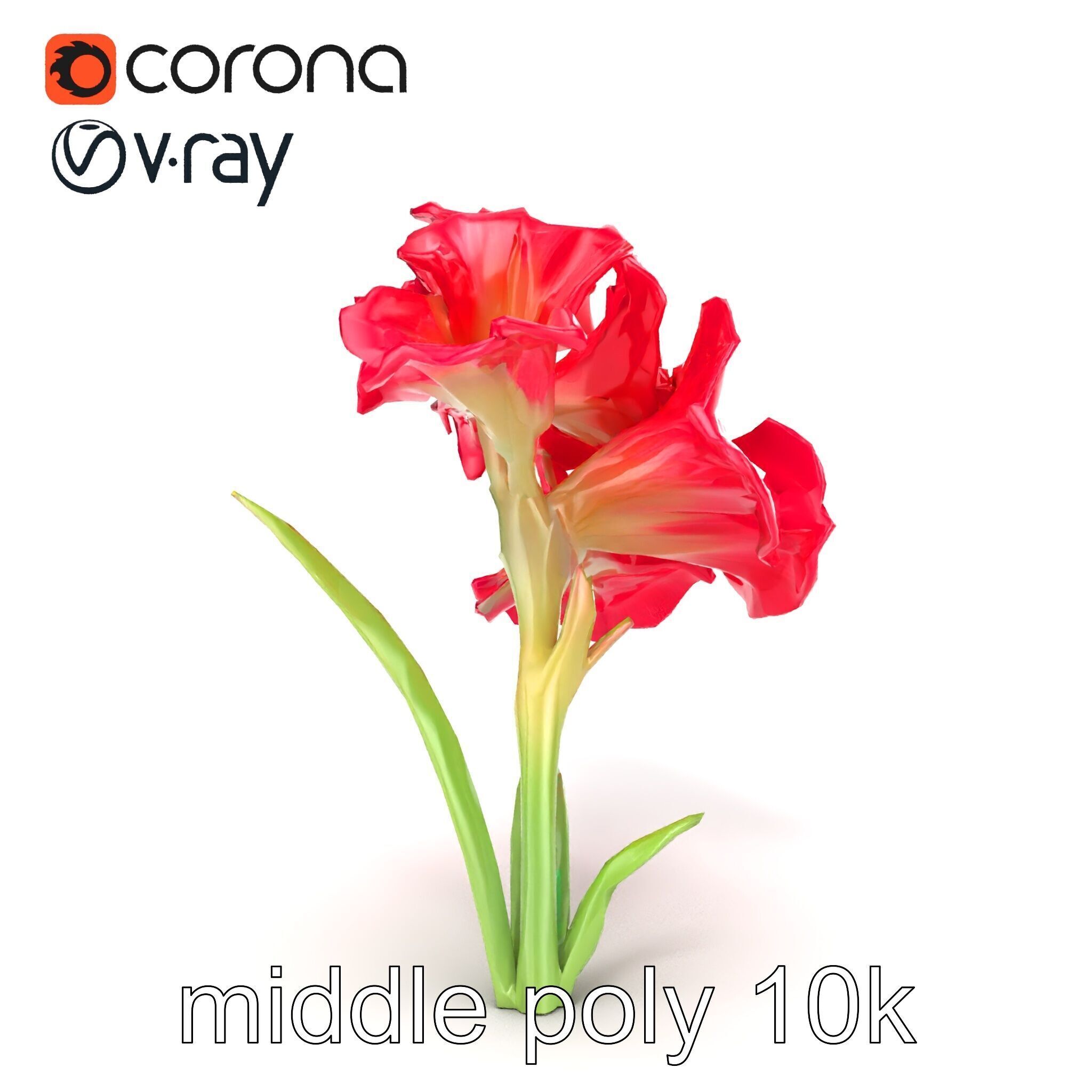 Lush Gladiolus Flowering Plant model pack Low-poly 3D model_16