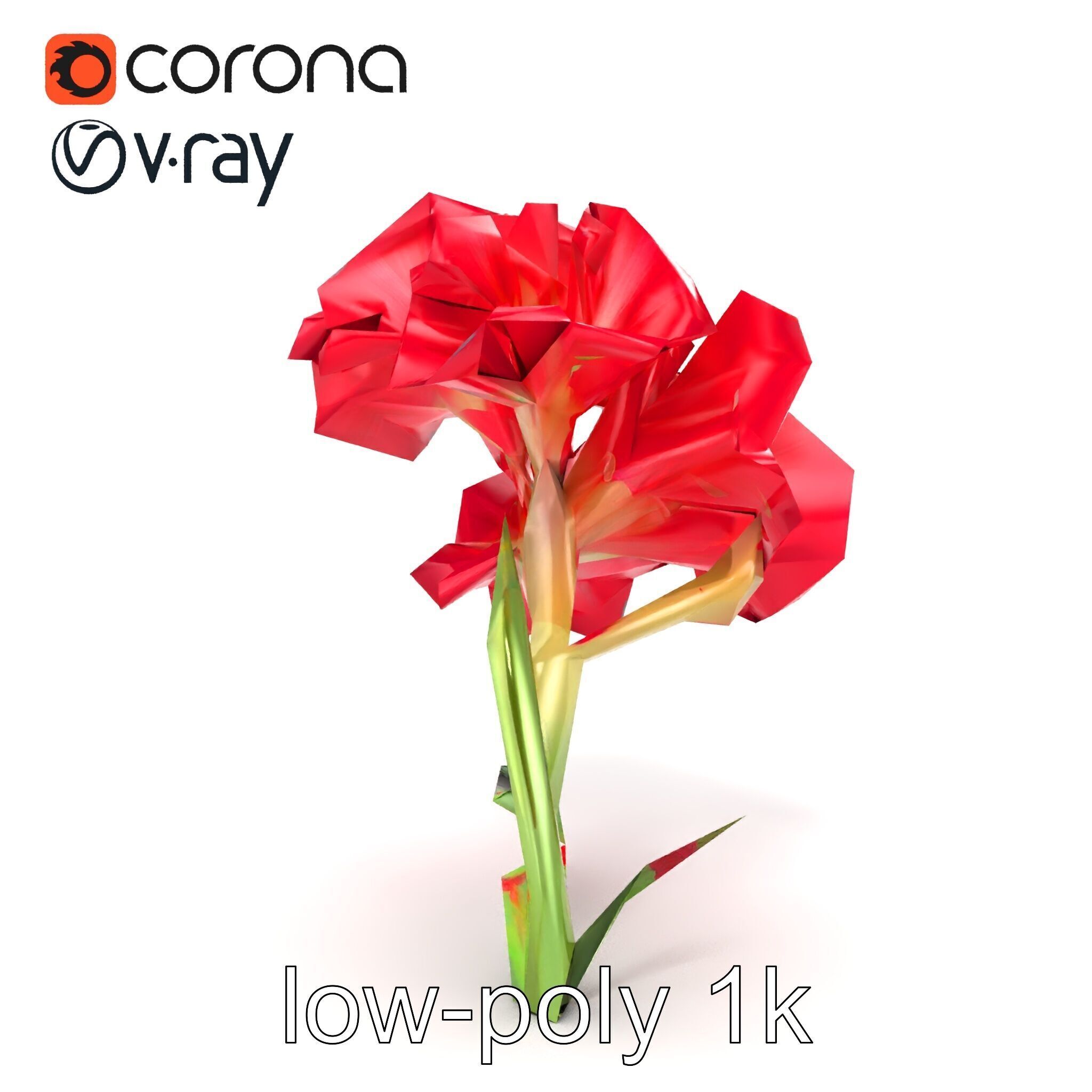 Lush Gladiolus Flowering Plant model pack Low-poly 3D model_21
