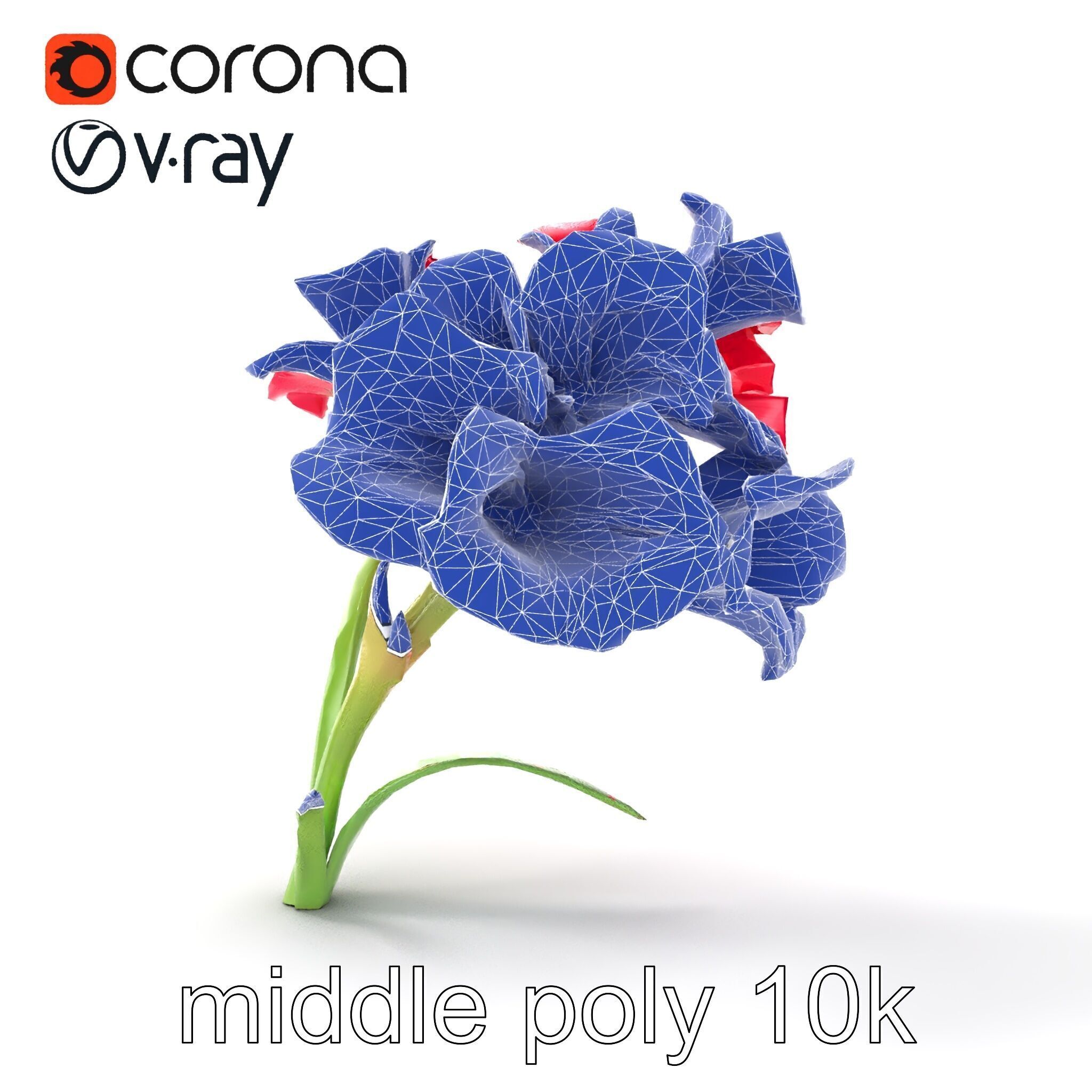 Lush Gladiolus Flowering Plant model pack Low-poly 3D model_24