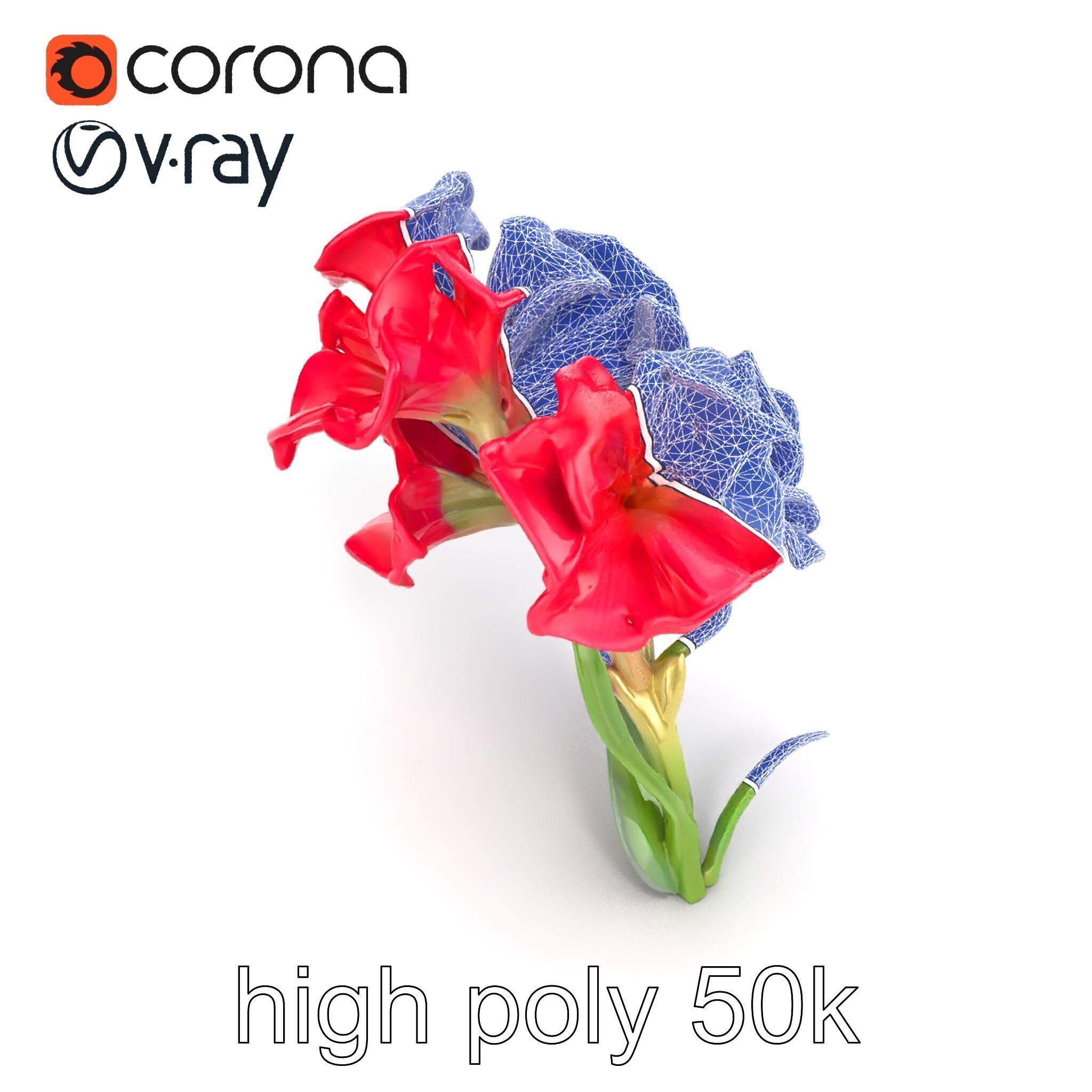 Lush Gladiolus Flowering Plant model pack Low-poly 3D model_25