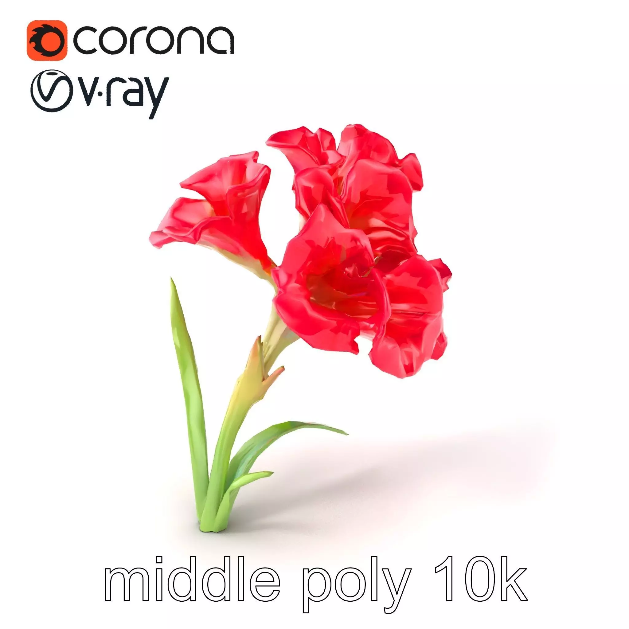Lush Gladiolus Flowering Plant model pack Low-poly 3D model_0