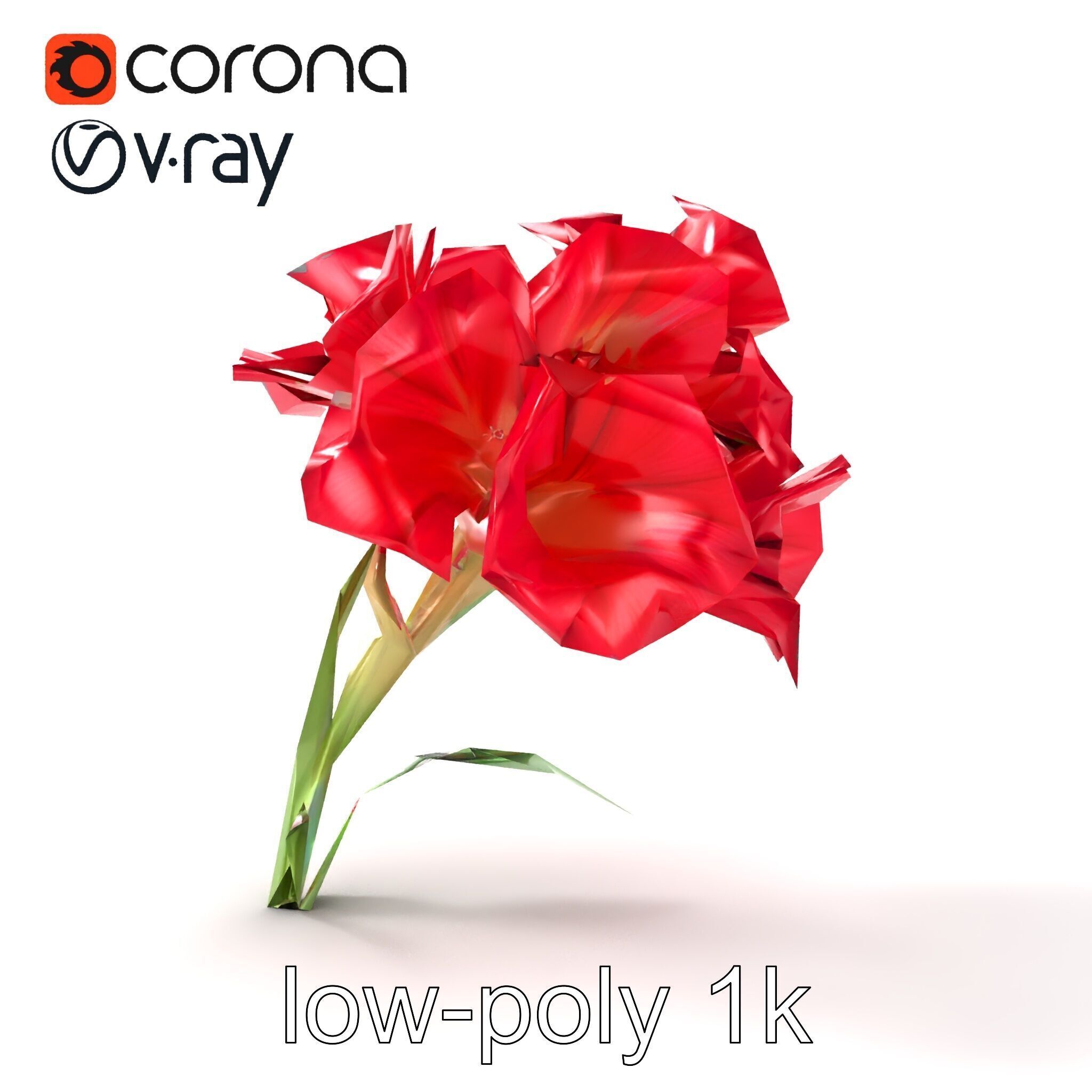 Lush Gladiolus Flowering Plant model pack Low-poly 3D model_26