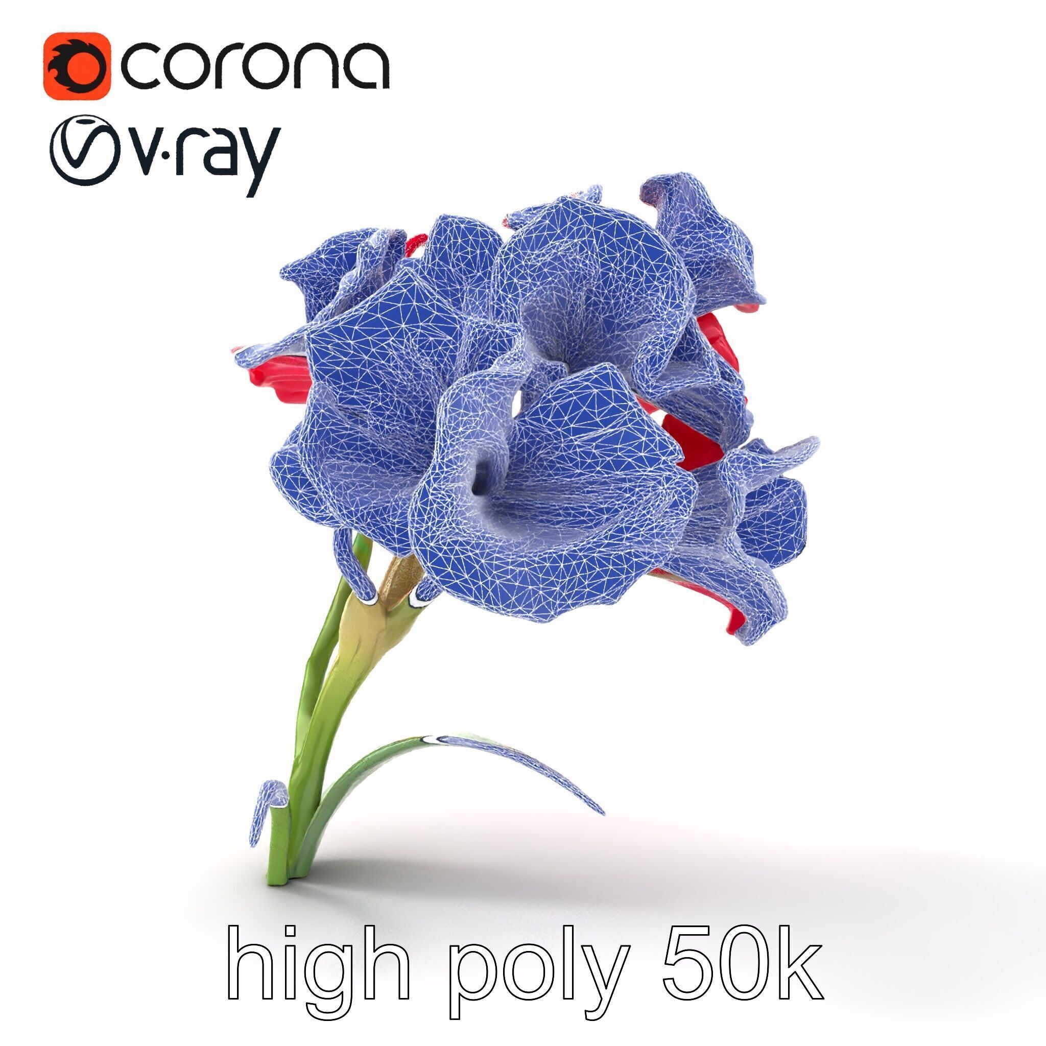 Lush Gladiolus Flowering Plant model pack Low-poly 3D model_29