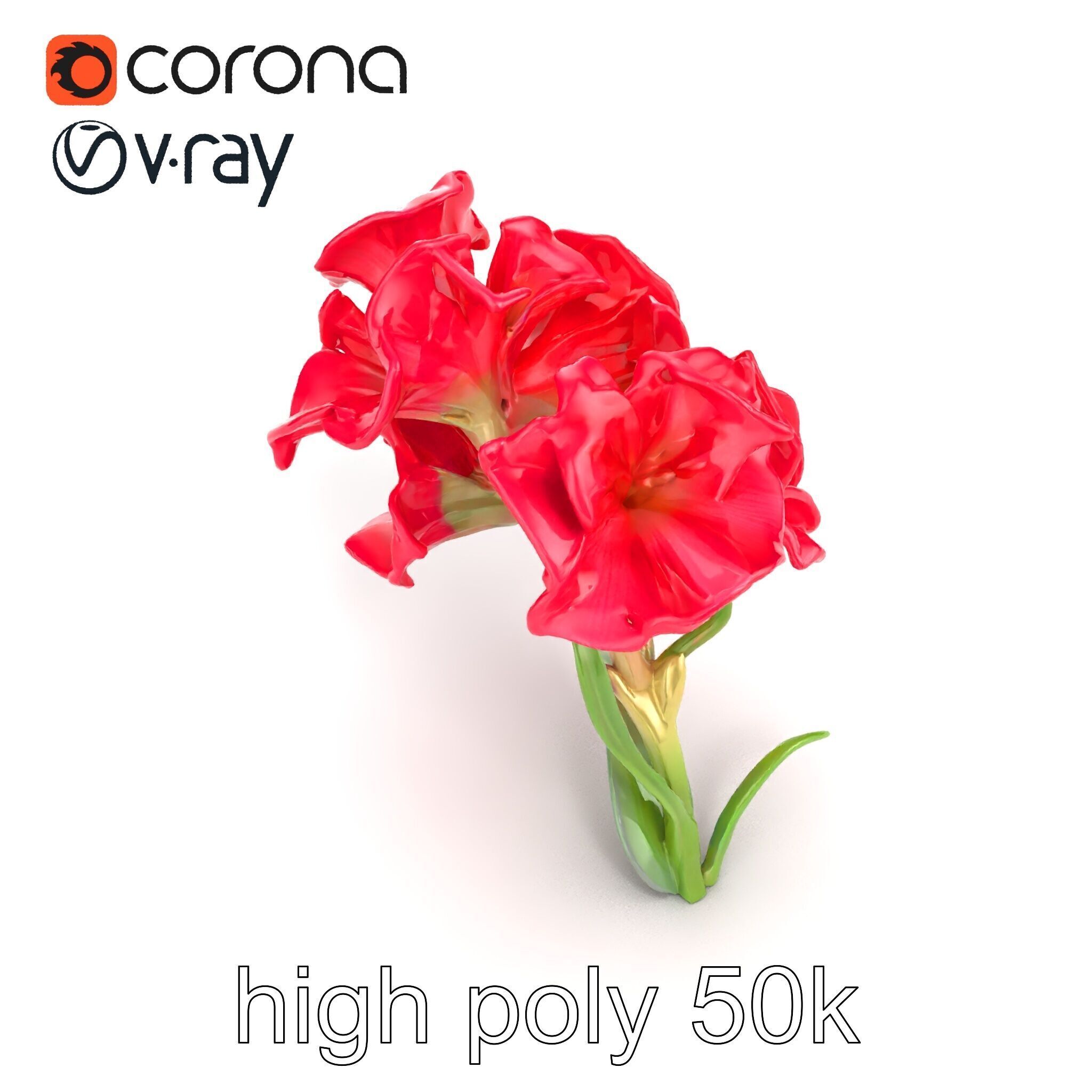 Lush Gladiolus Flowering Plant model pack Low-poly 3D model_10