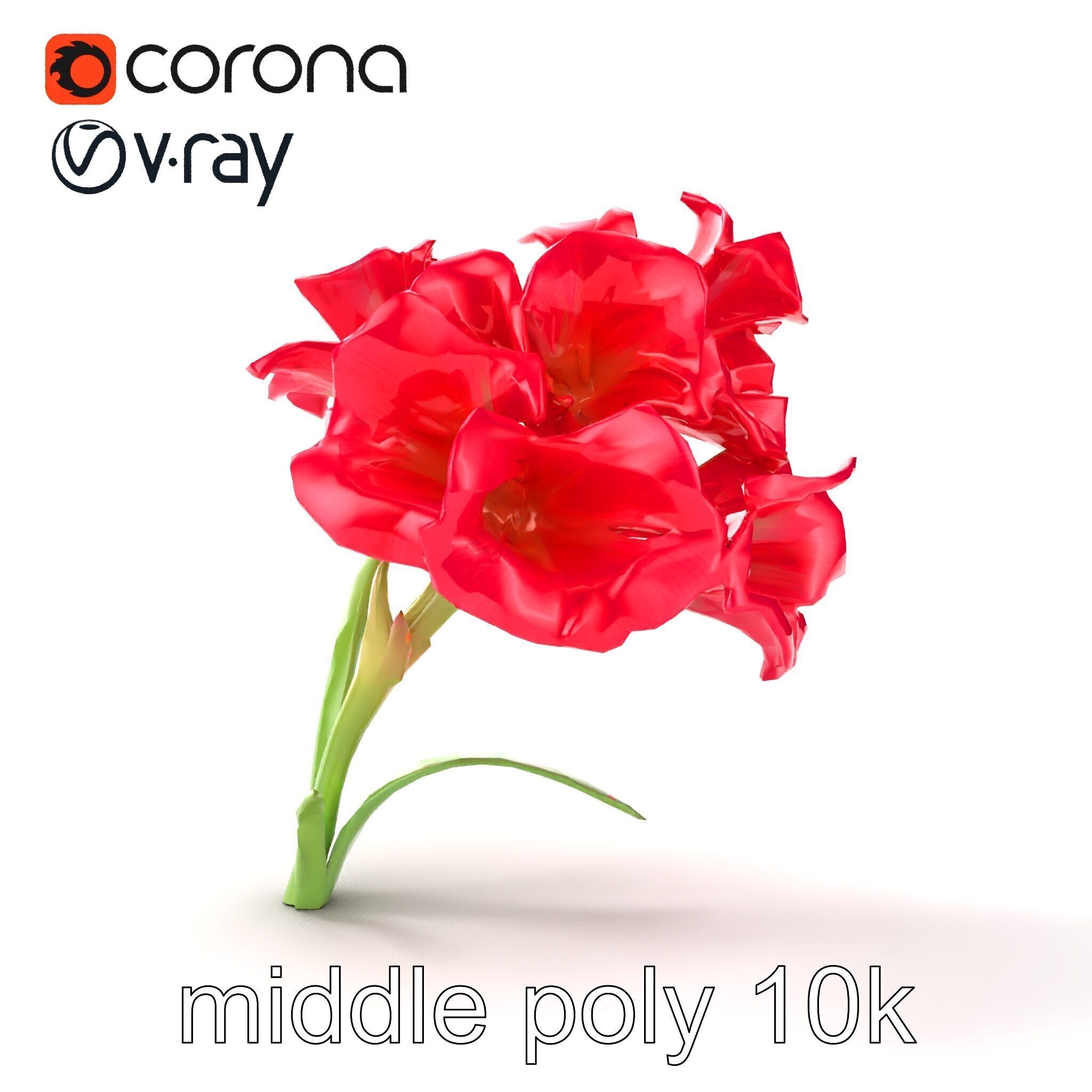 Lush Gladiolus Flowering Plant model pack Low-poly 3D model_19