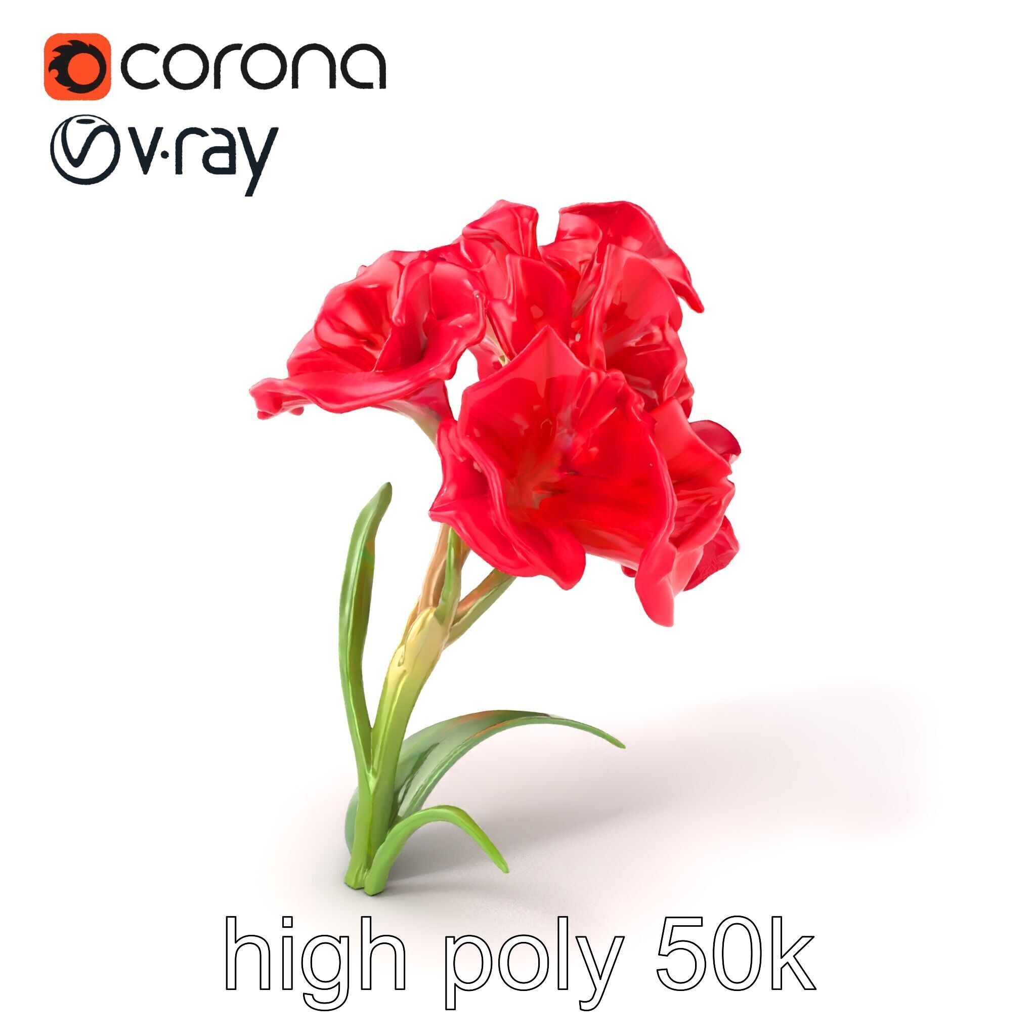 Lush Gladiolus Flowering Plant model pack Low-poly 3D model_2