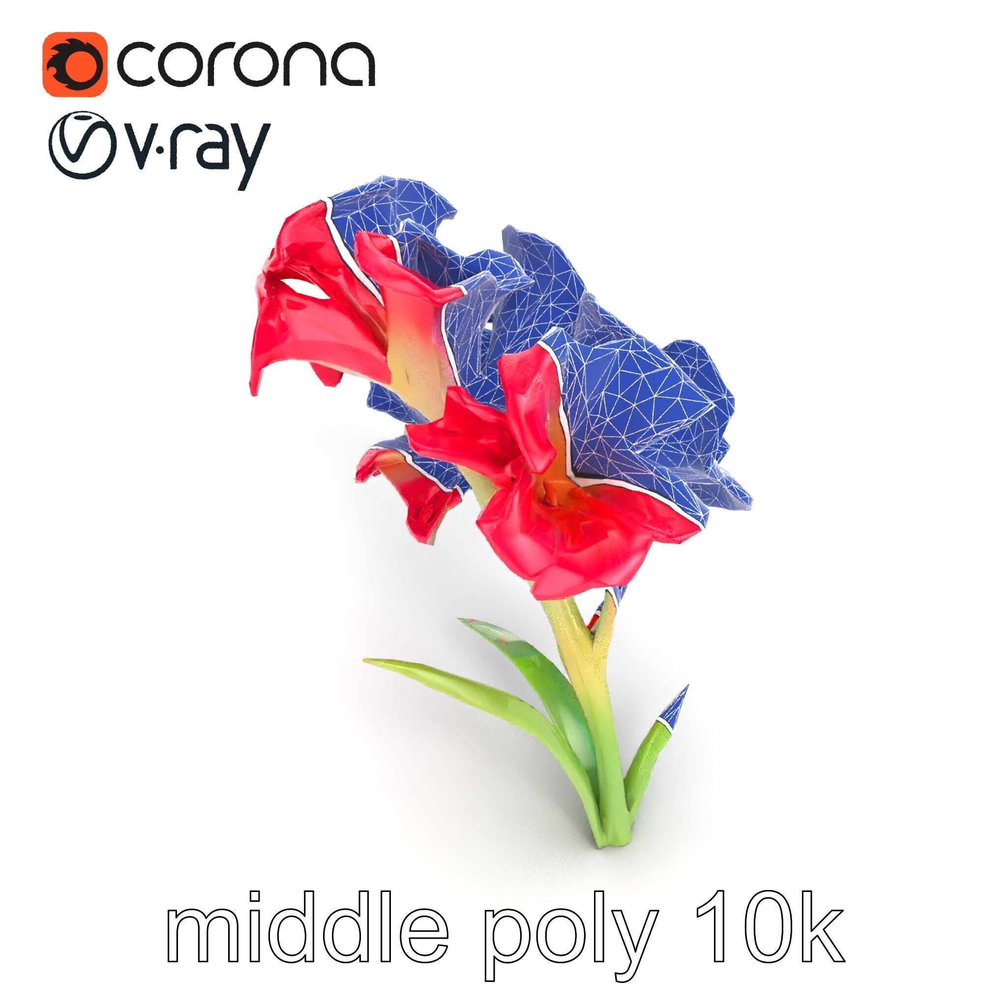 Lush Gladiolus Flowering Plant model pack Low-poly 3D model_13