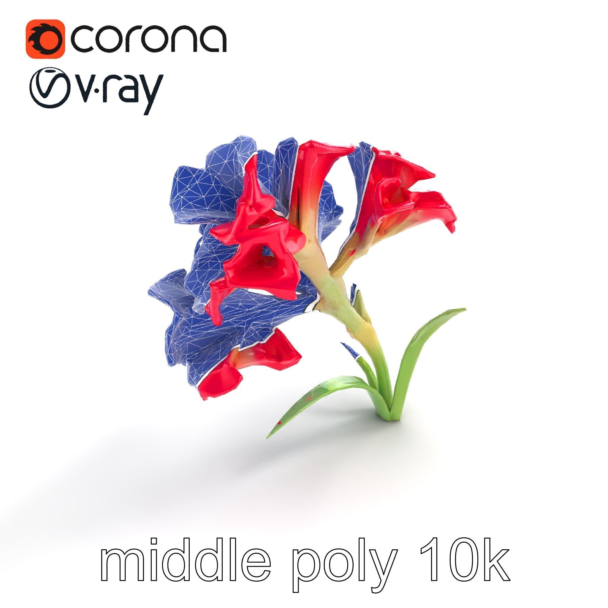 Lush Gladiolus Flowering Plant model pack Low-poly 3D model_12