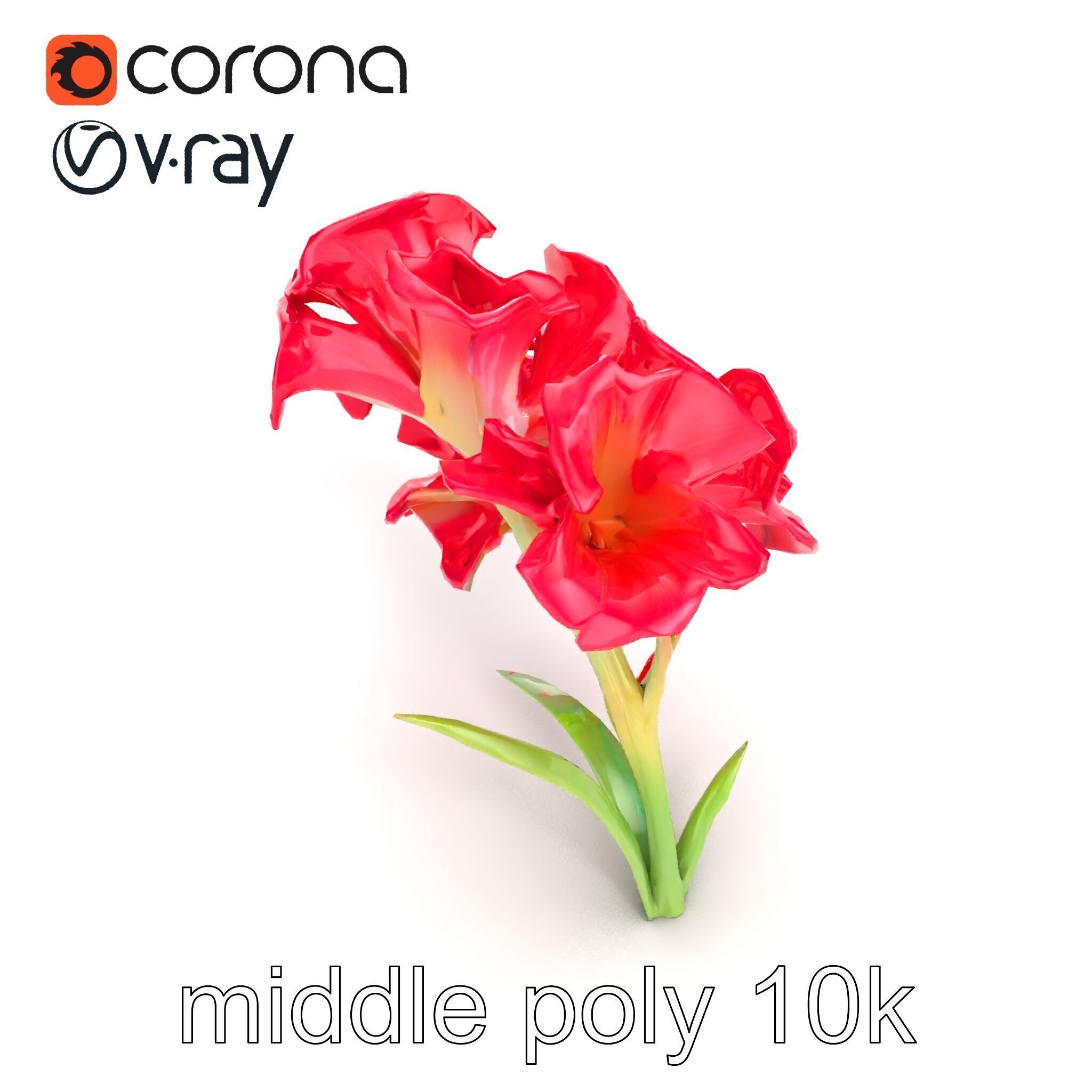 Lush Gladiolus Flowering Plant model pack Low-poly 3D model_11