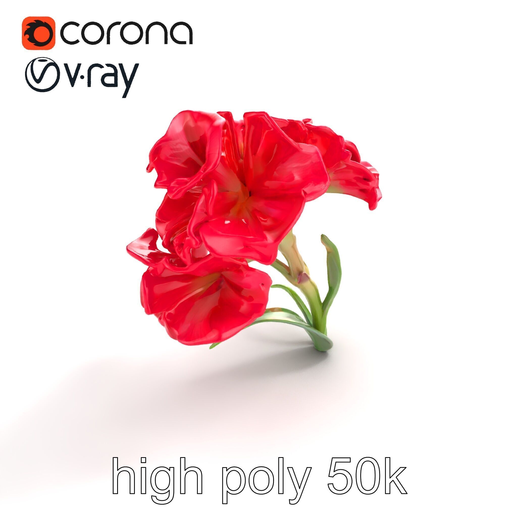 Lush Gladiolus Flowering Plant model pack Low-poly 3D model_9