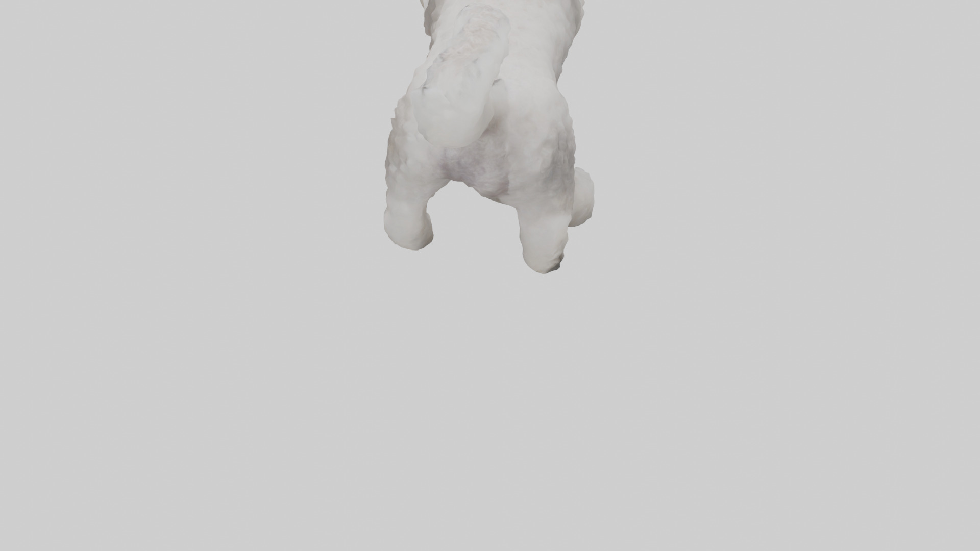 Poodle playing model Low-poly 3D model_3