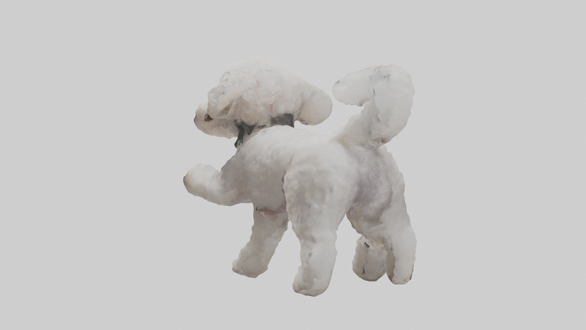 Poodle playing model Low-poly 3D model_12