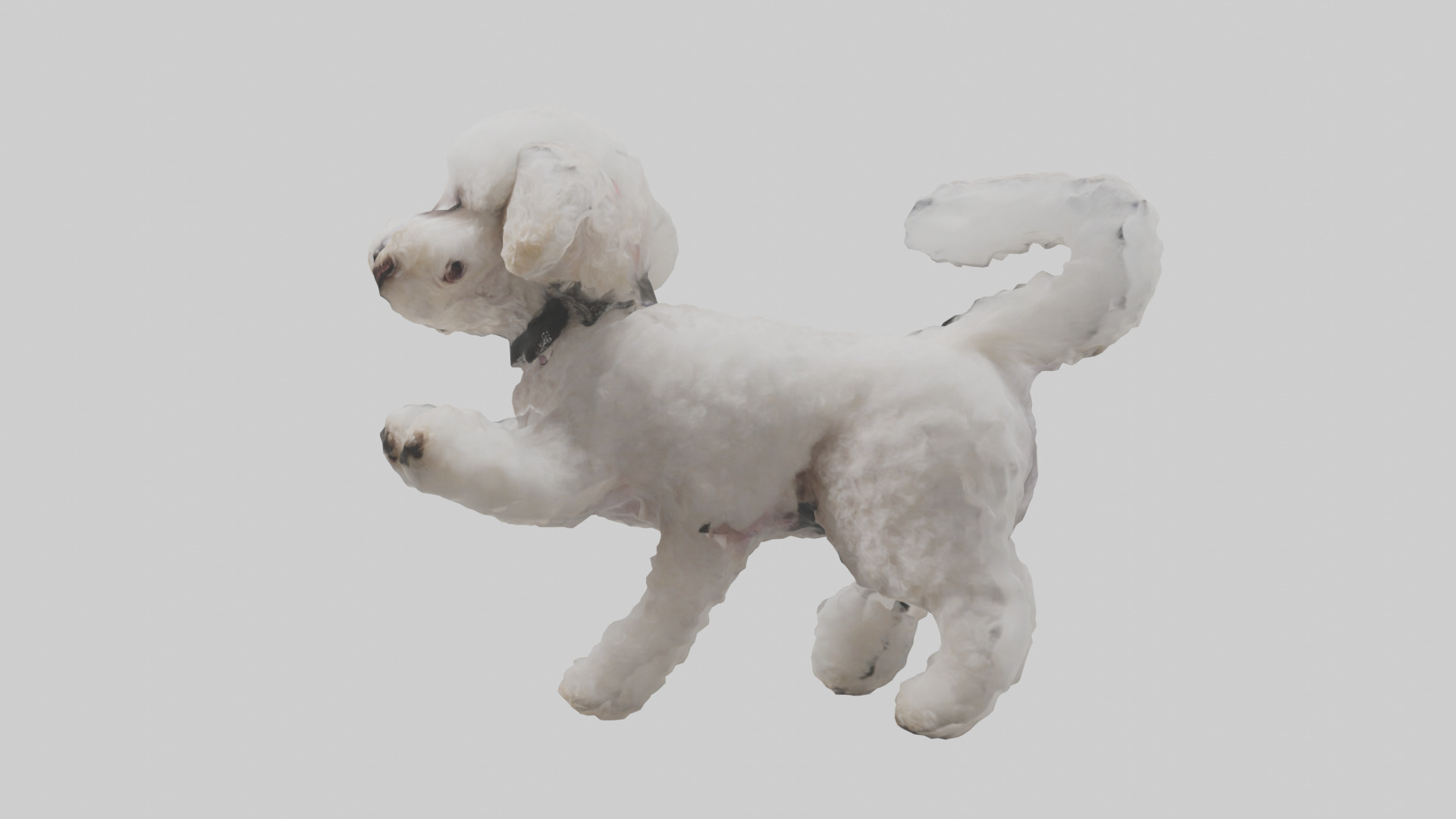 Poodle playing model Low-poly 3D model_10