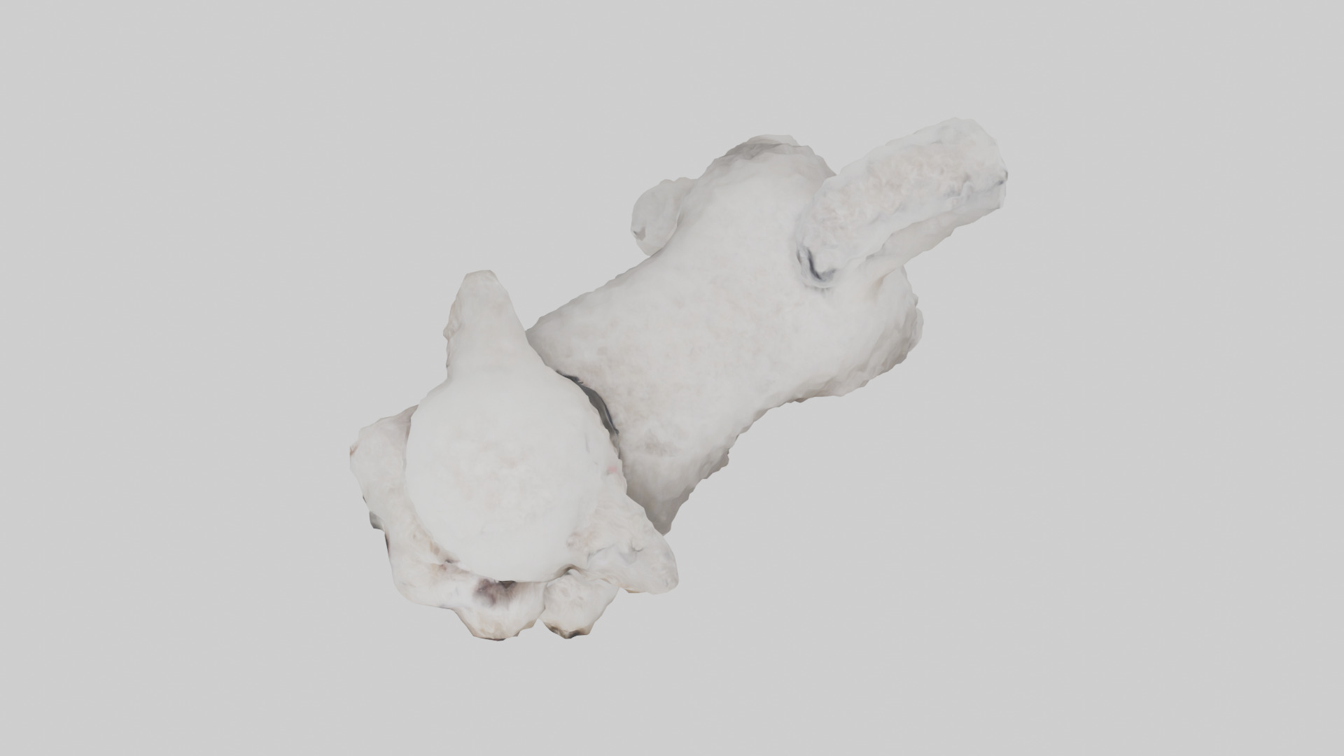 Poodle playing model Low-poly 3D model_14