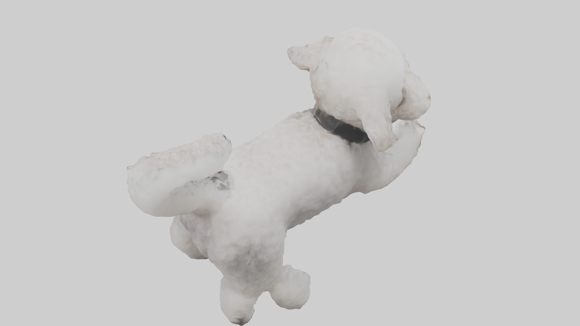Poodle playing model Low-poly 3D model_15