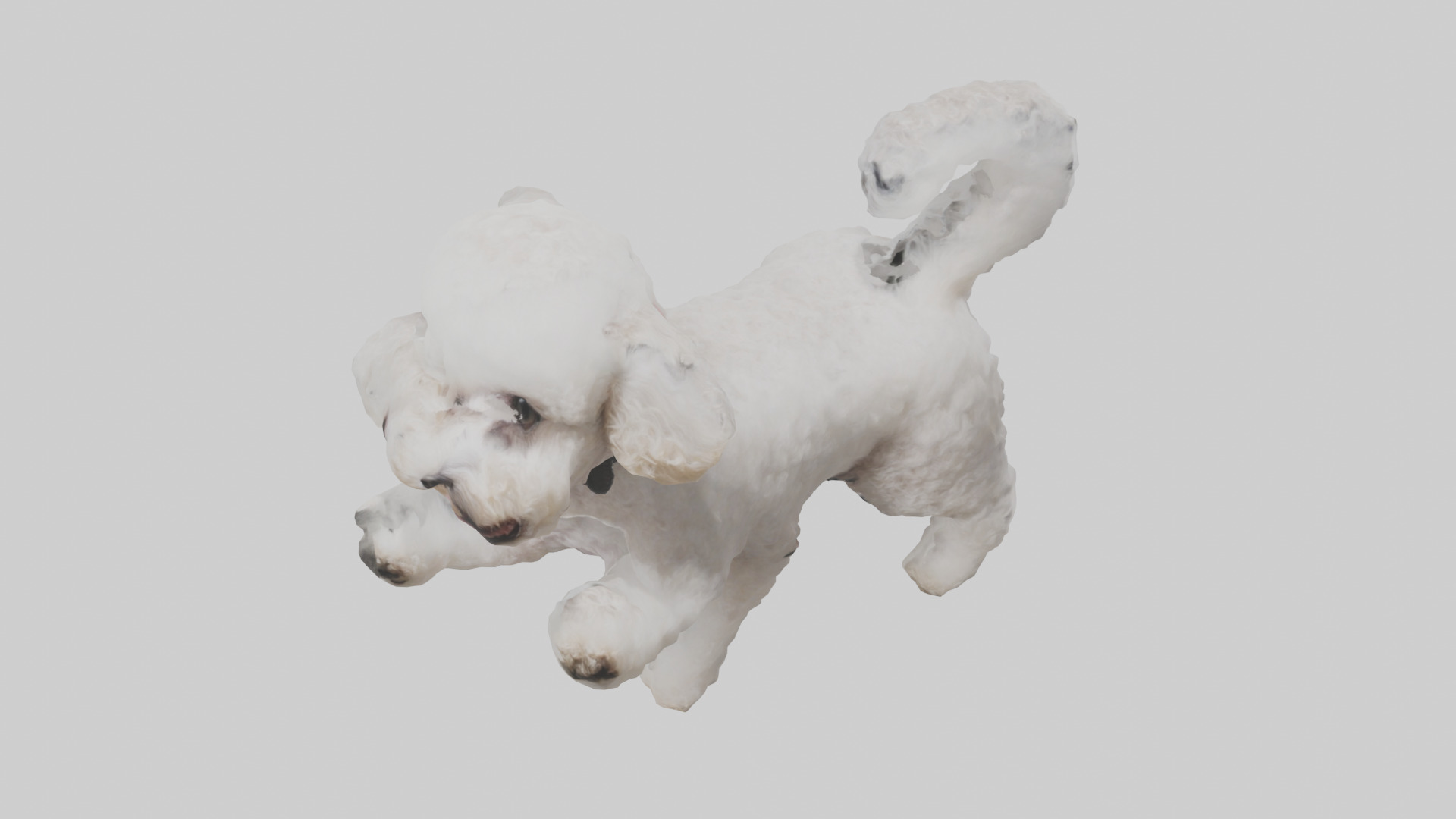 Poodle playing model Low-poly 3D model_16