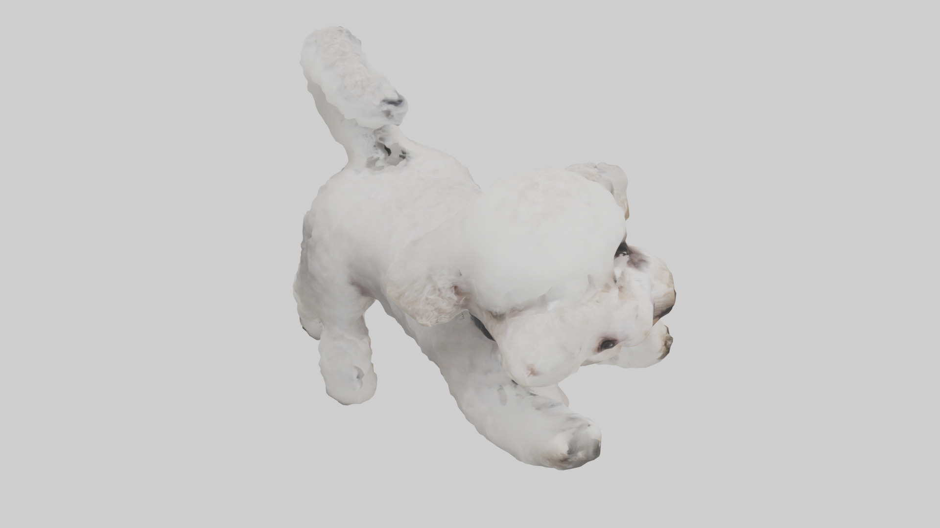 Poodle playing model Low-poly 3D model_18