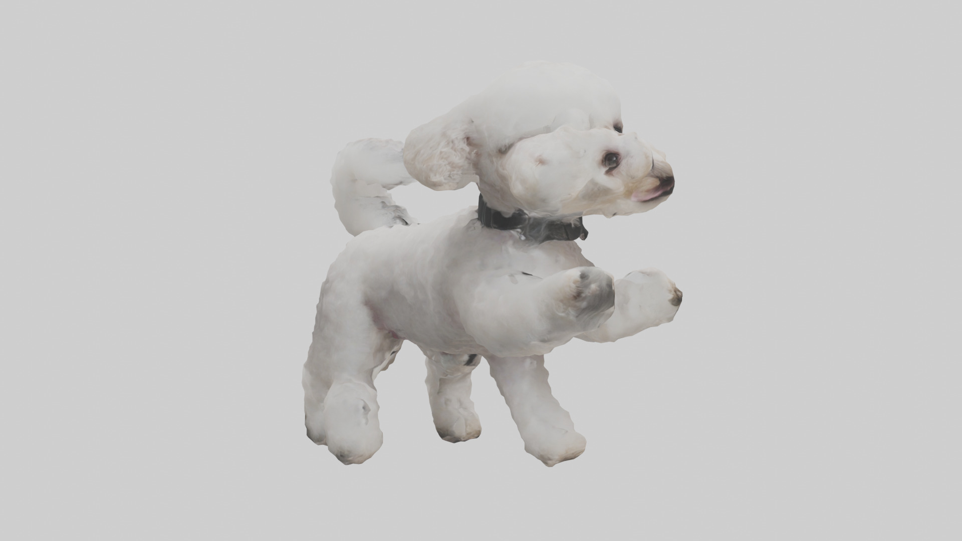 Poodle playing model Low-poly 3D model_13