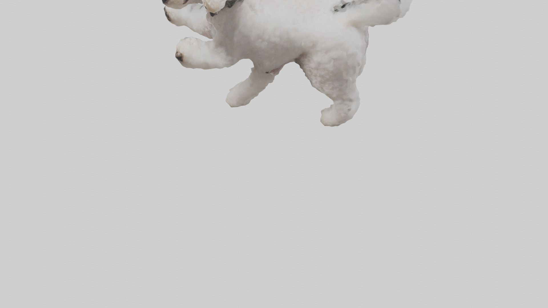 Poodle playing model Low-poly 3D model_5