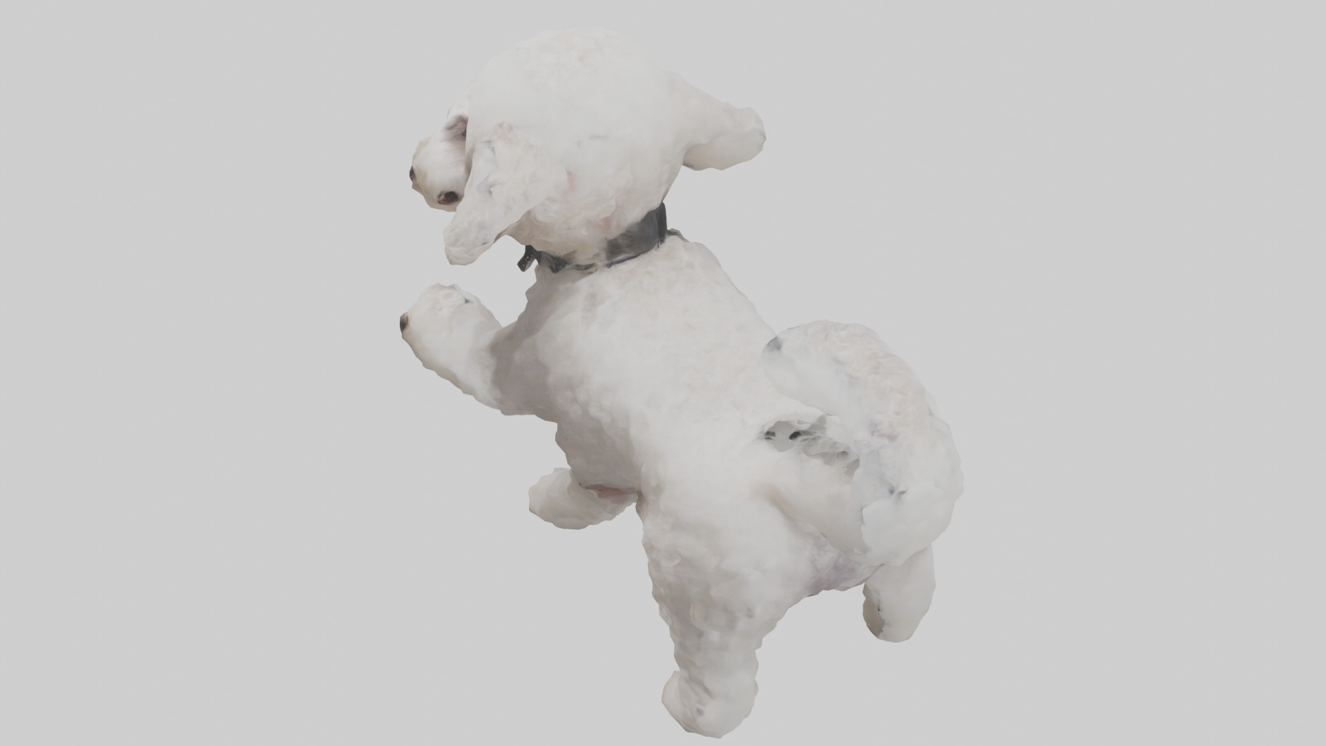 Poodle playing model Low-poly 3D model_17