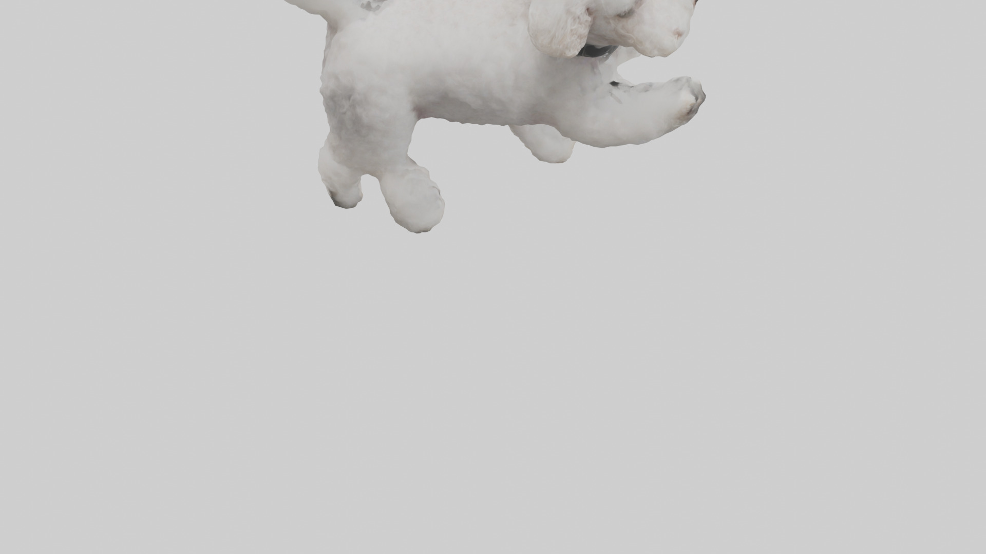 Poodle playing model Low-poly 3D model_4
