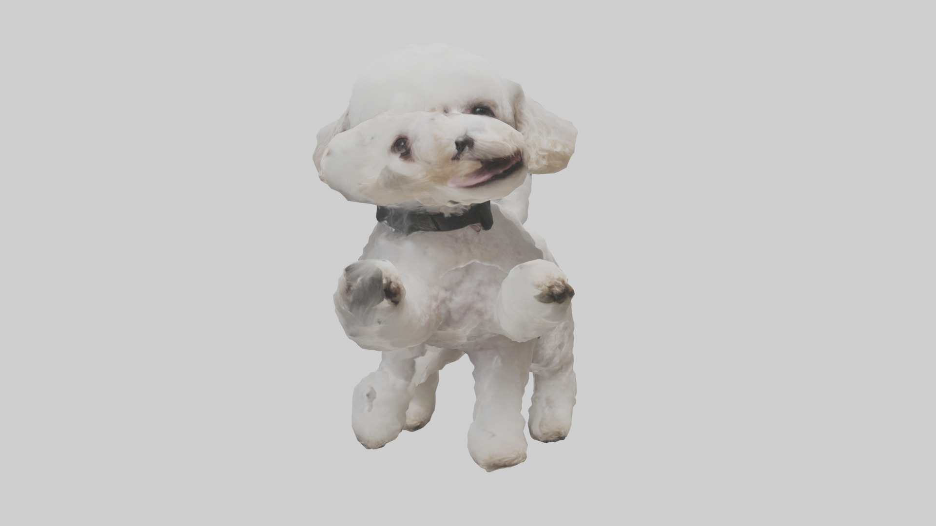 Poodle playing model Low-poly 3D model_7
