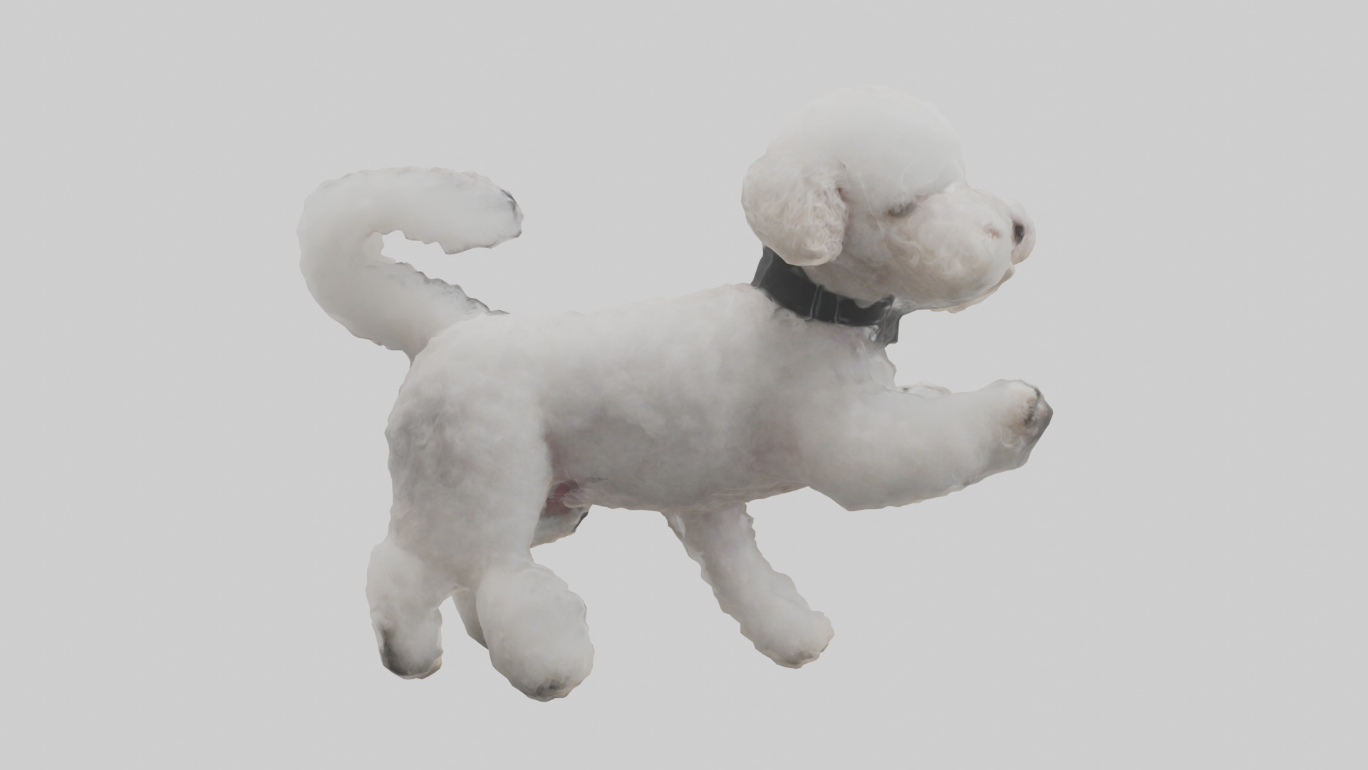 Poodle playing model Low-poly 3D model_2